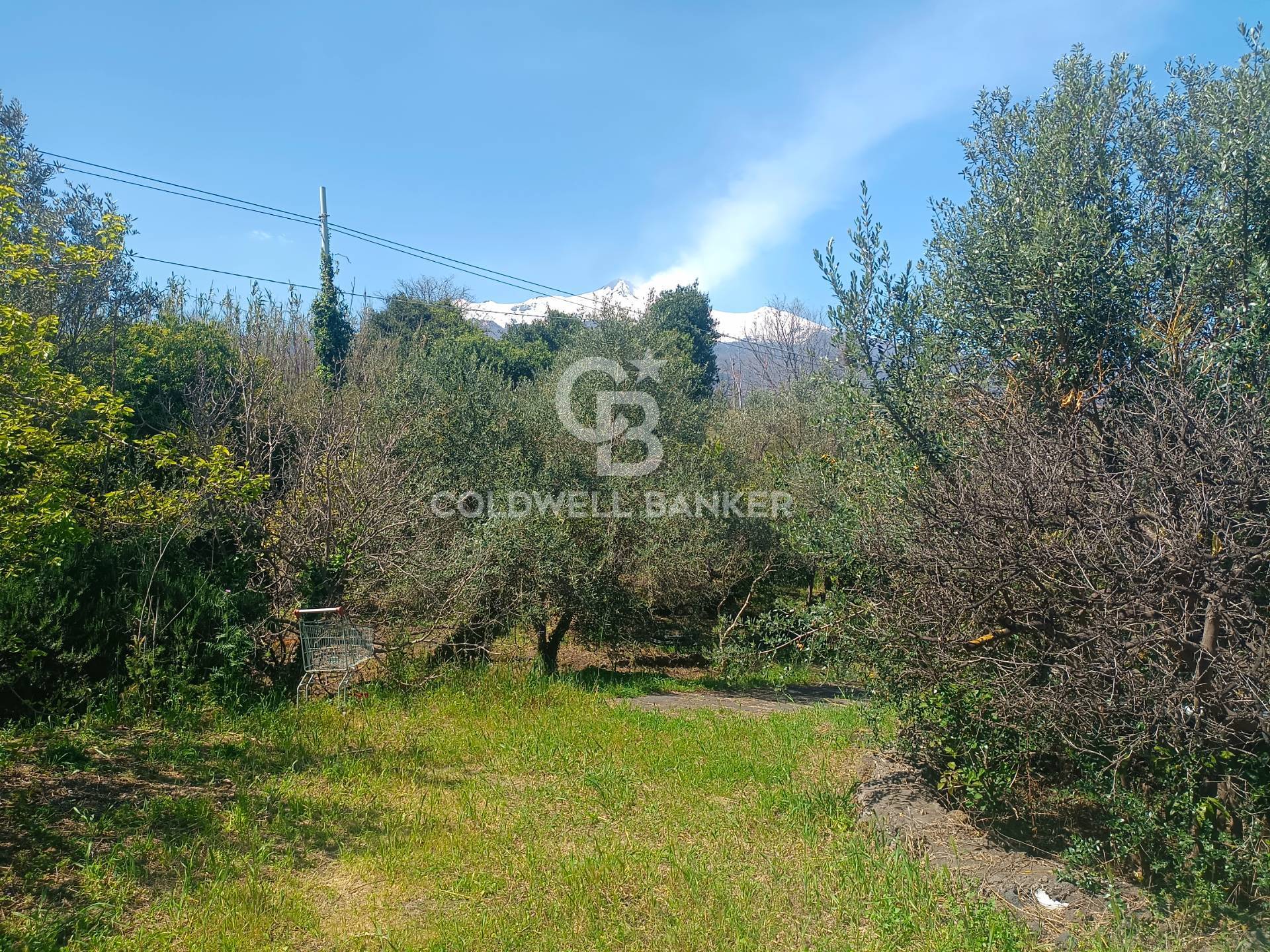 Casa indipendente in vendita a Santa Venerina