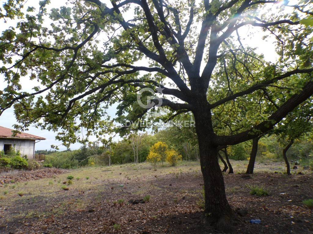 Terreno Edificabile in vendita a Pedara