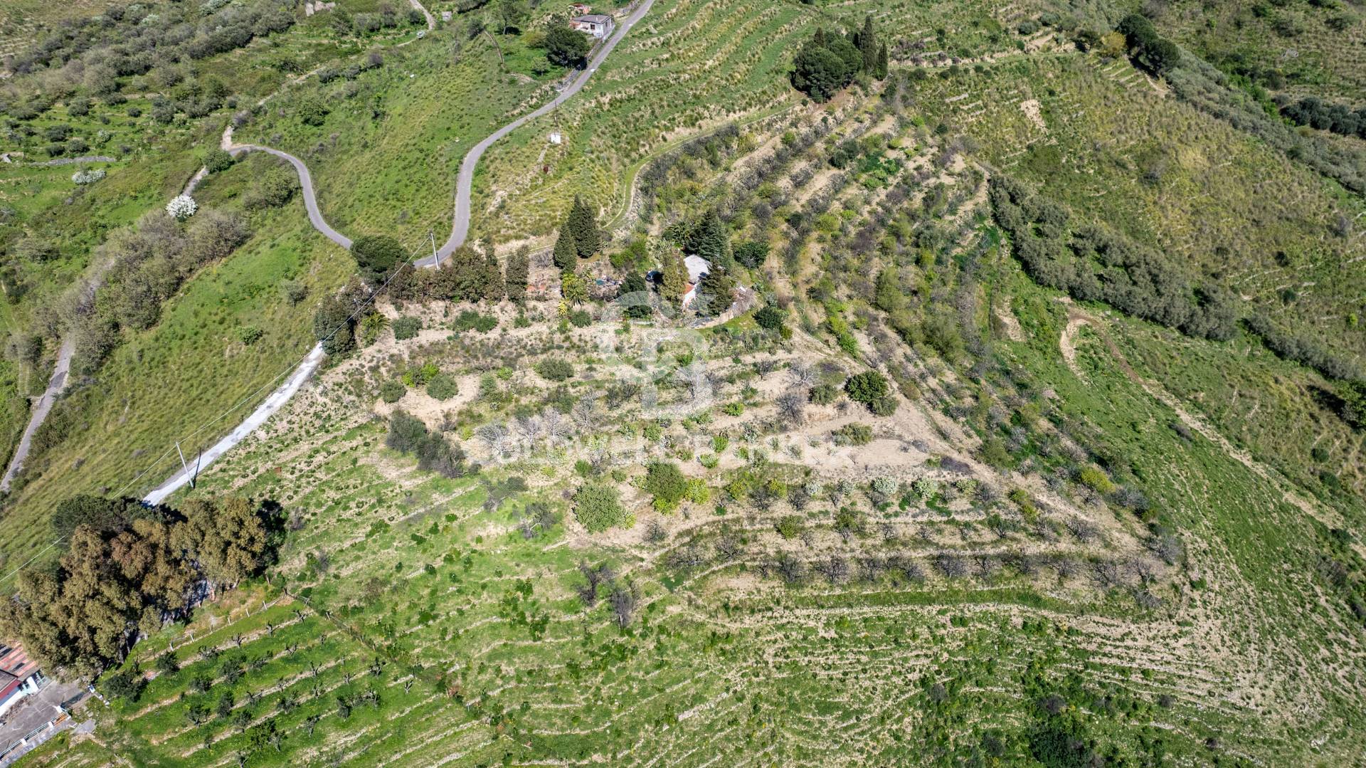 Terreno agricolo in vendita a Linguaglossa