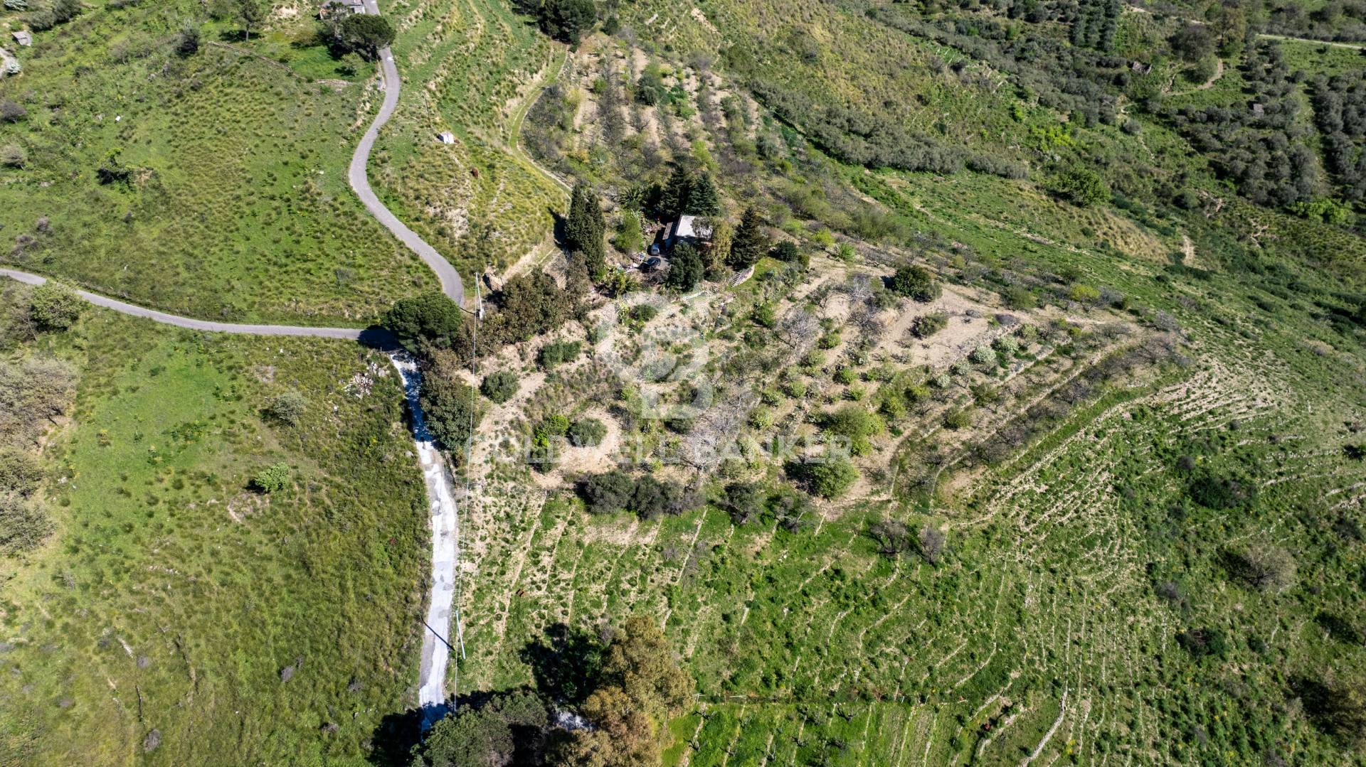 Terreno agricolo in vendita a Linguaglossa