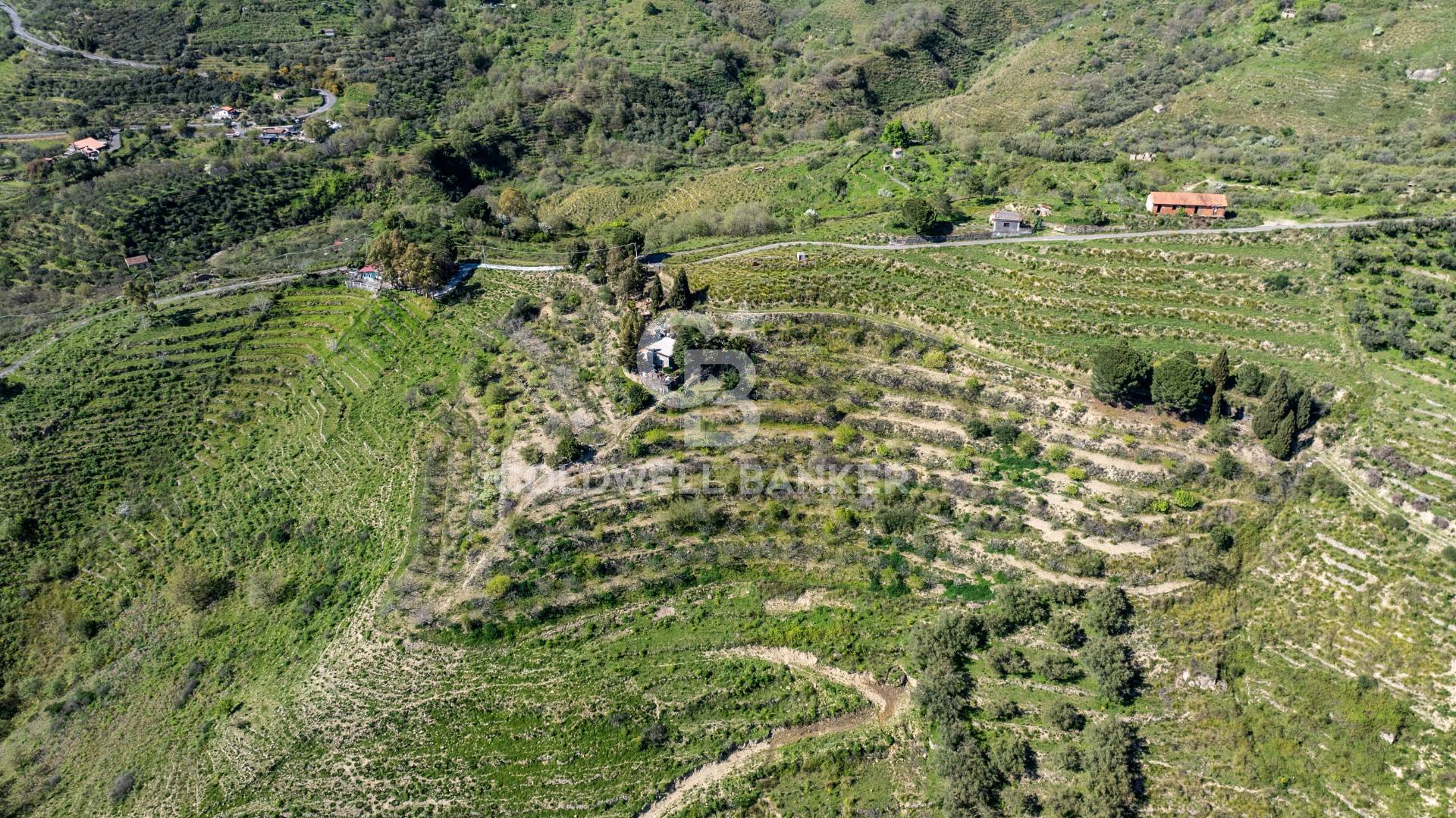 Terreno agricolo in vendita a Linguaglossa