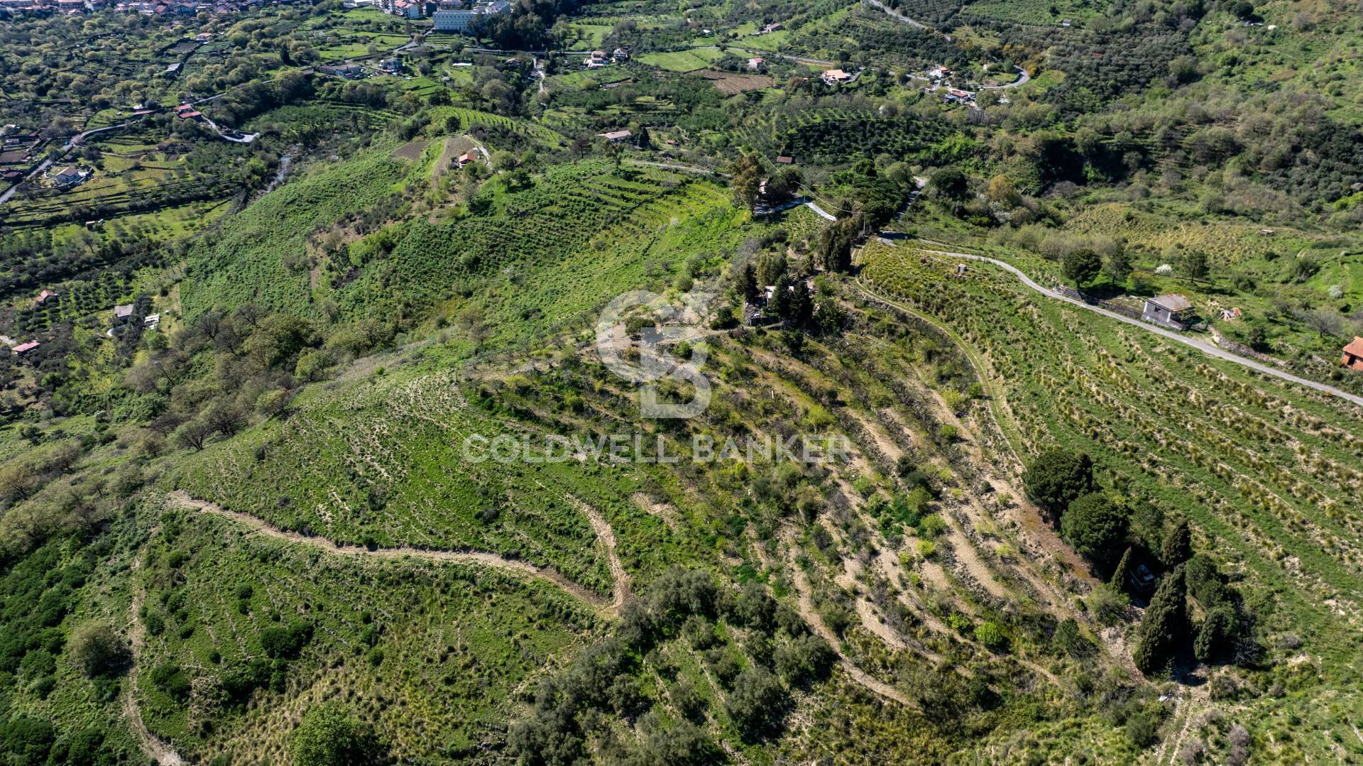 Terreno agricolo in vendita a Linguaglossa