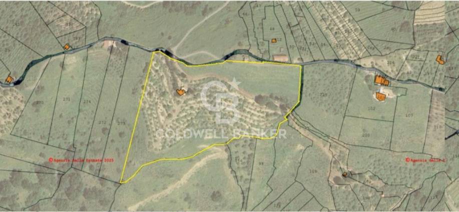 Terreno agricolo in vendita a Linguaglossa