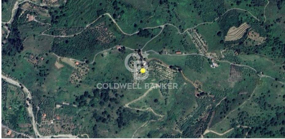 Terreno agricolo in vendita a Linguaglossa