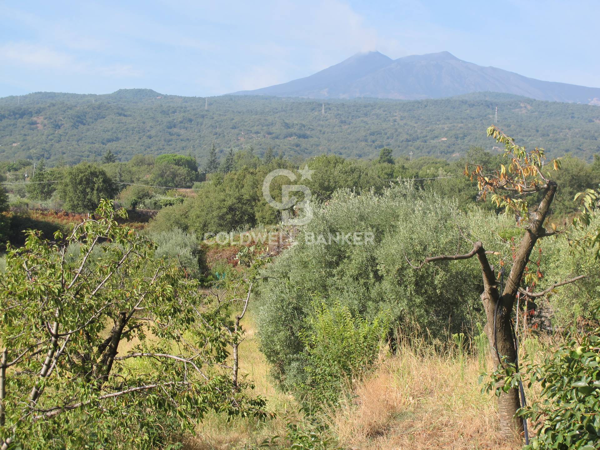 Terreno in vendita a Piedimonte Etneo