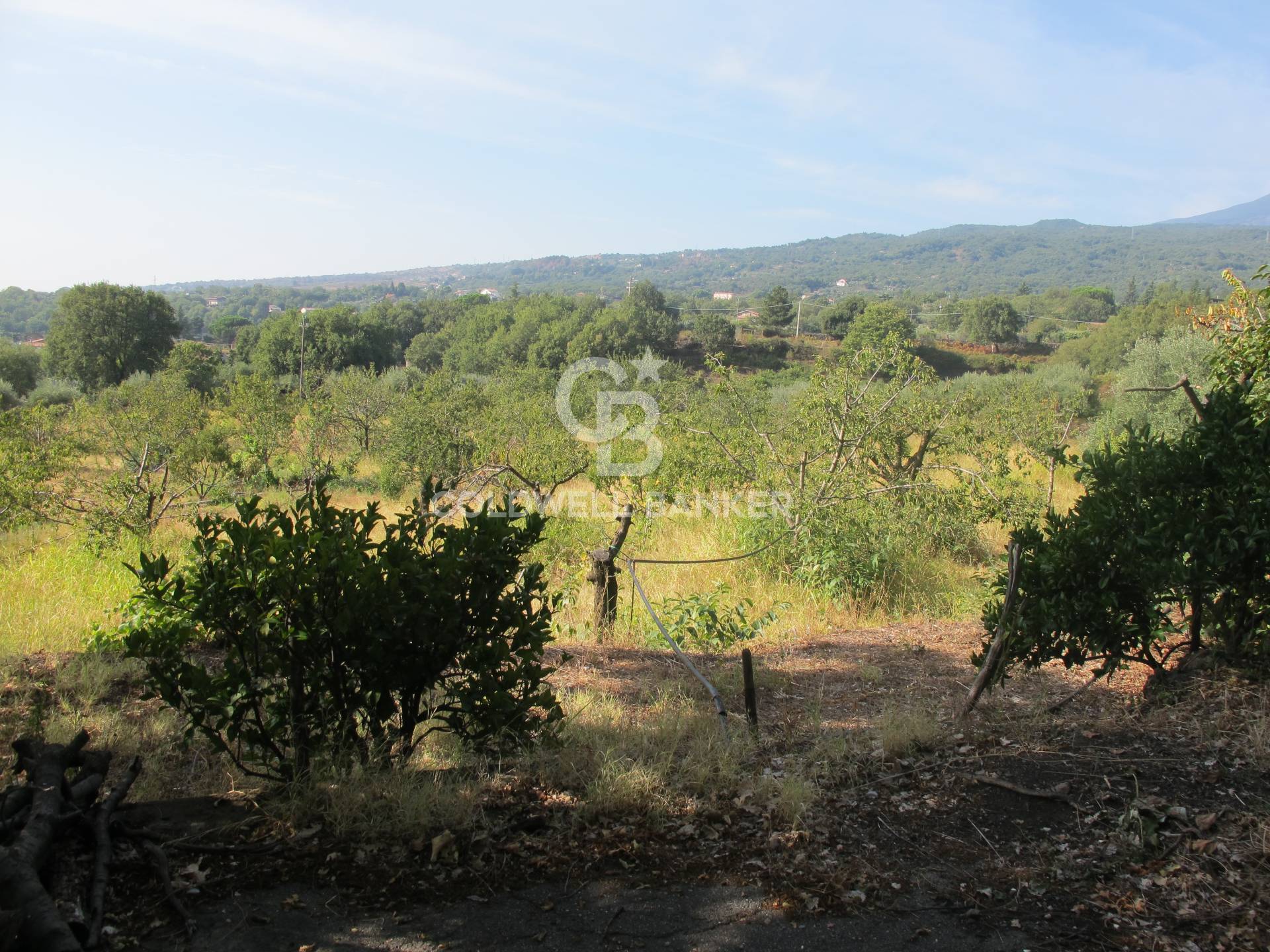 Terreno in vendita a Piedimonte Etneo