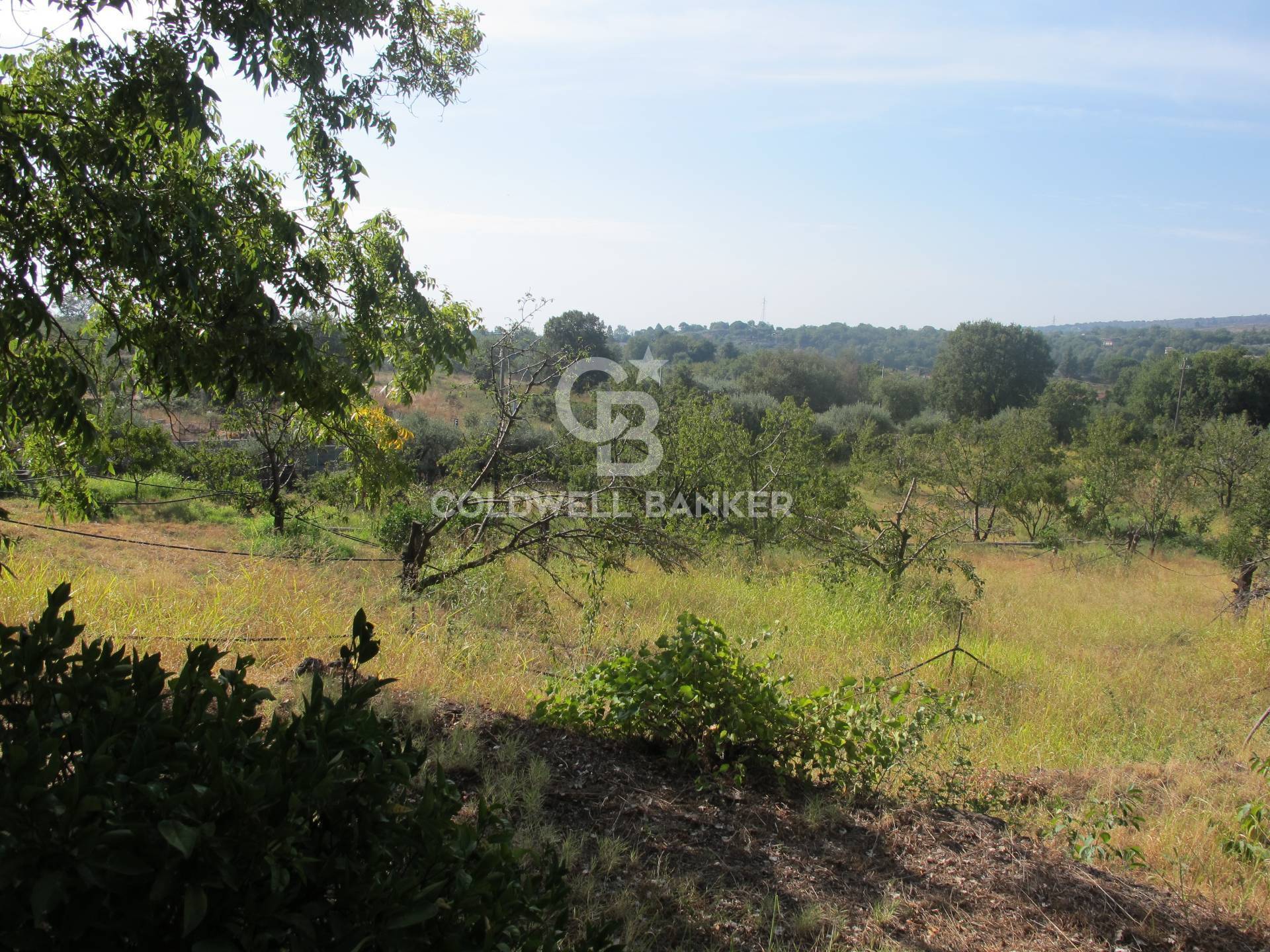 Terreno in vendita a Piedimonte Etneo