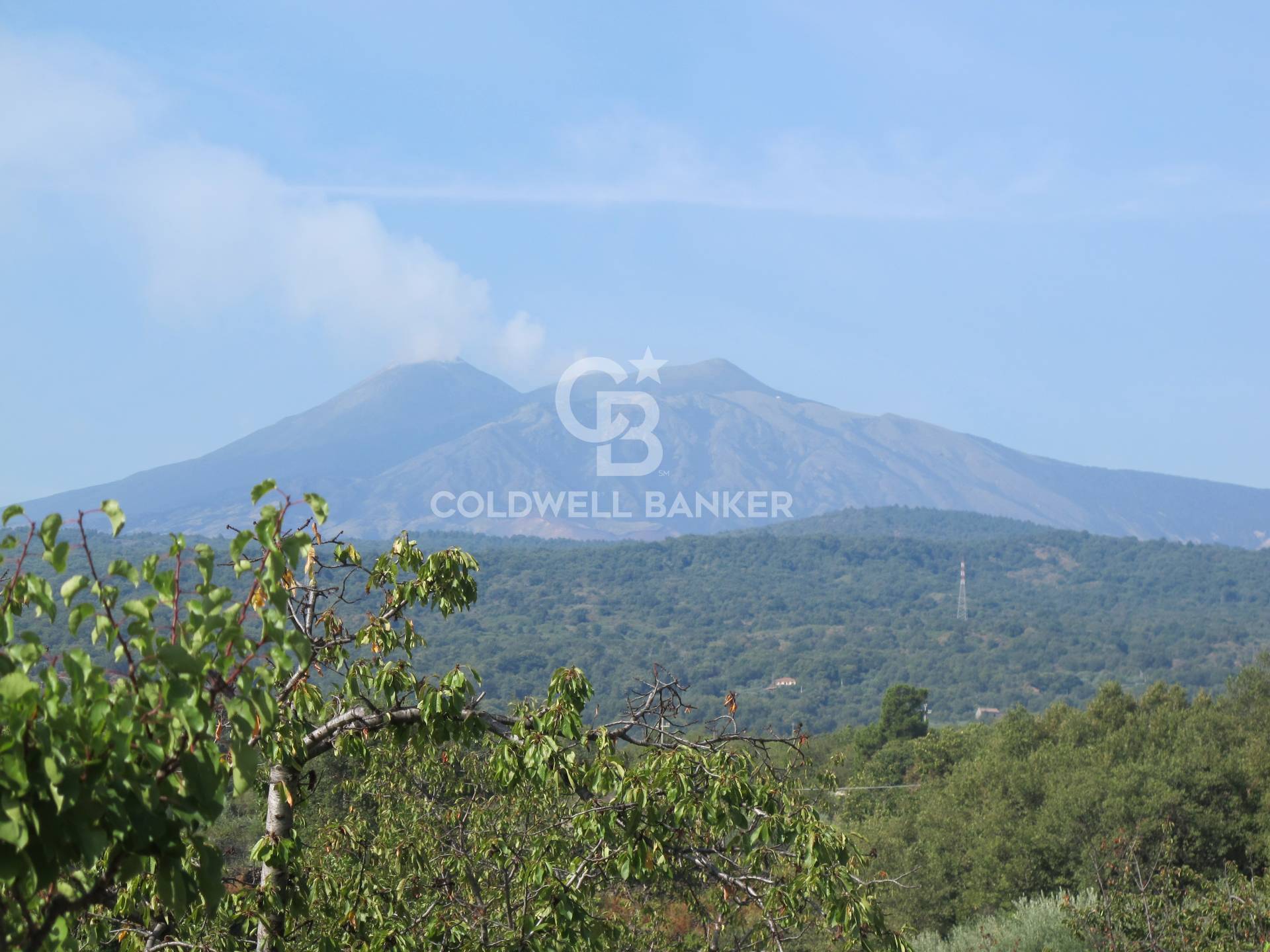 Terreno in vendita a Piedimonte Etneo