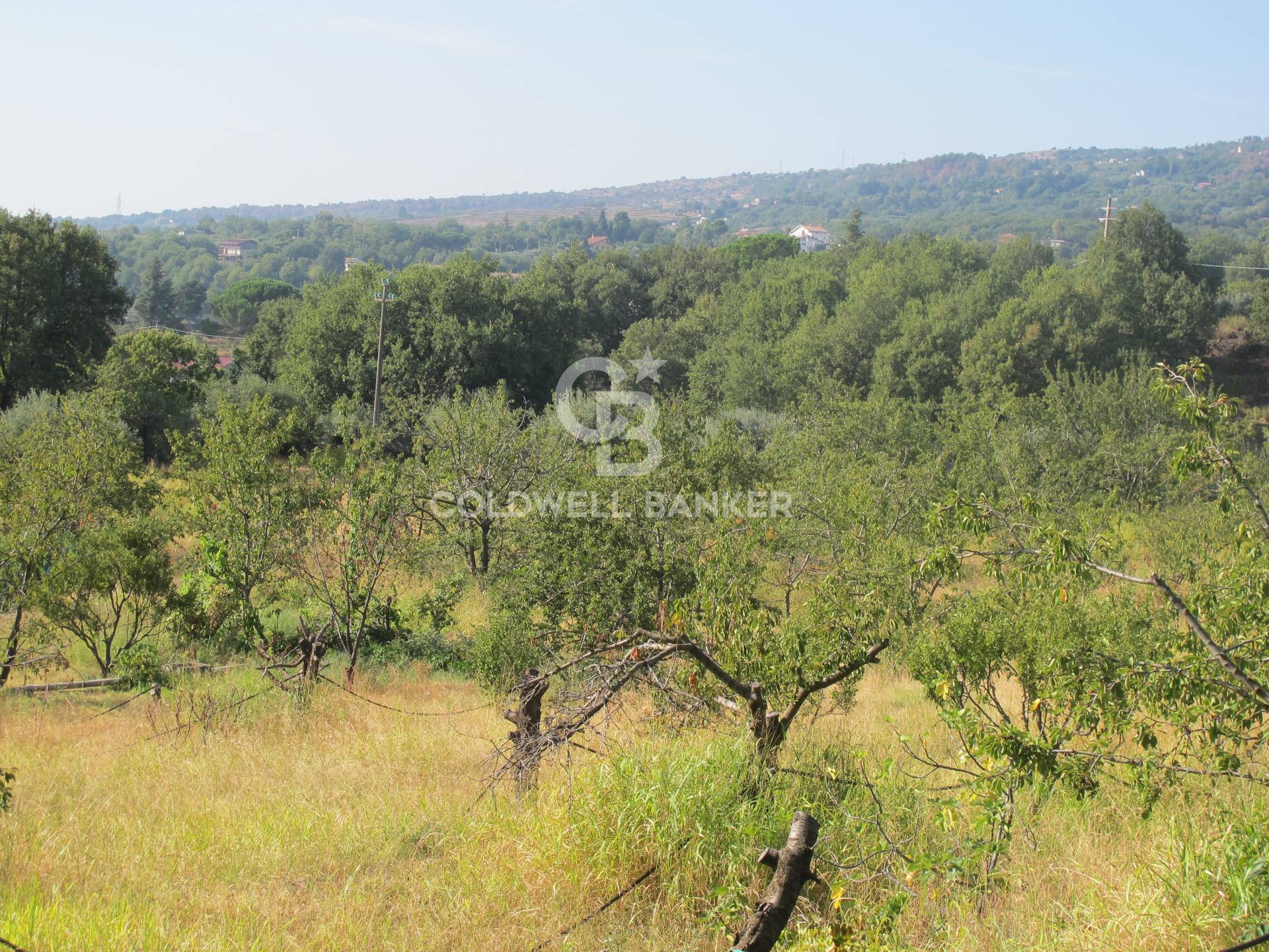 Terreno in vendita a Piedimonte Etneo
