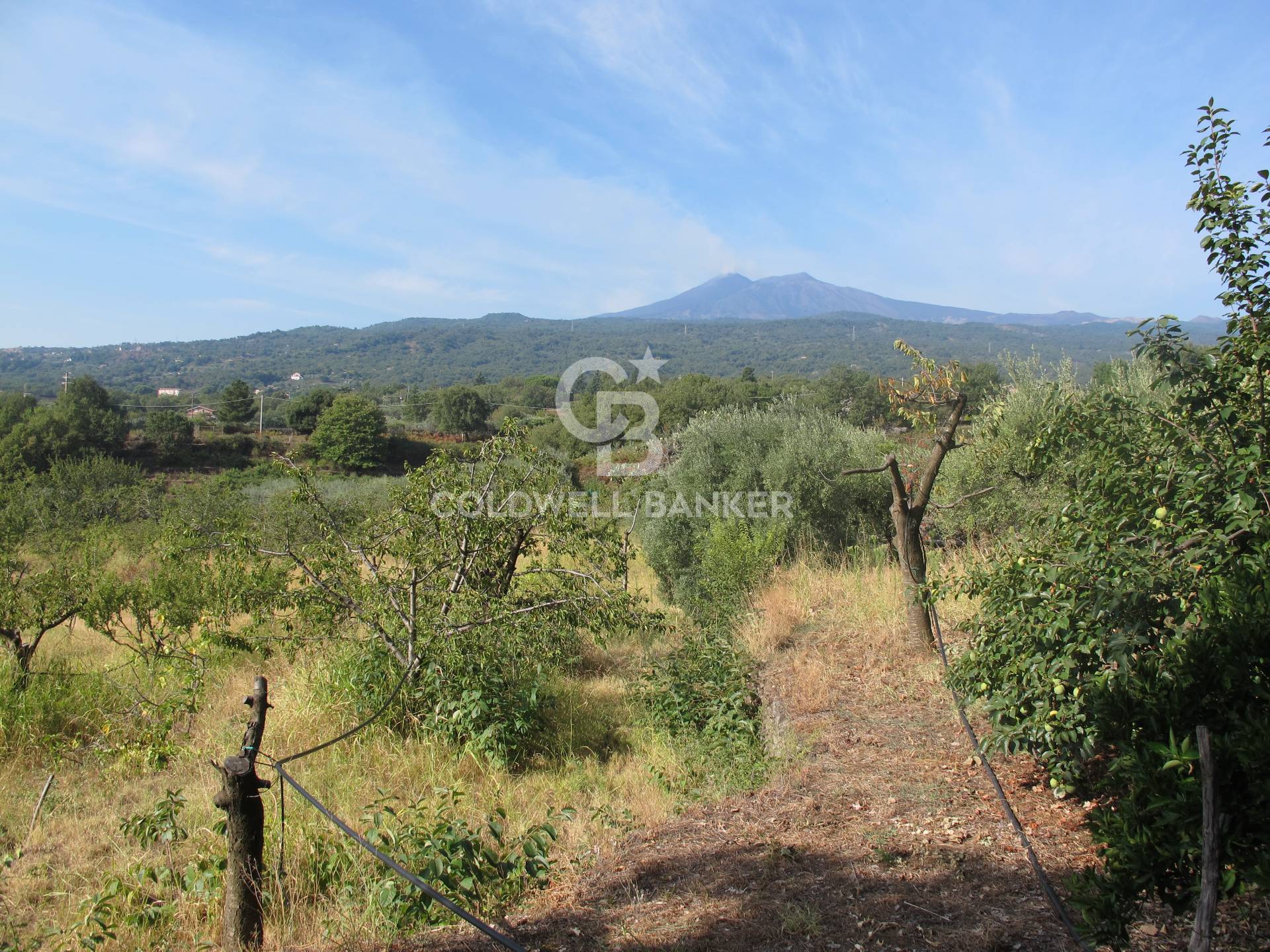 Terreno in vendita a Piedimonte Etneo