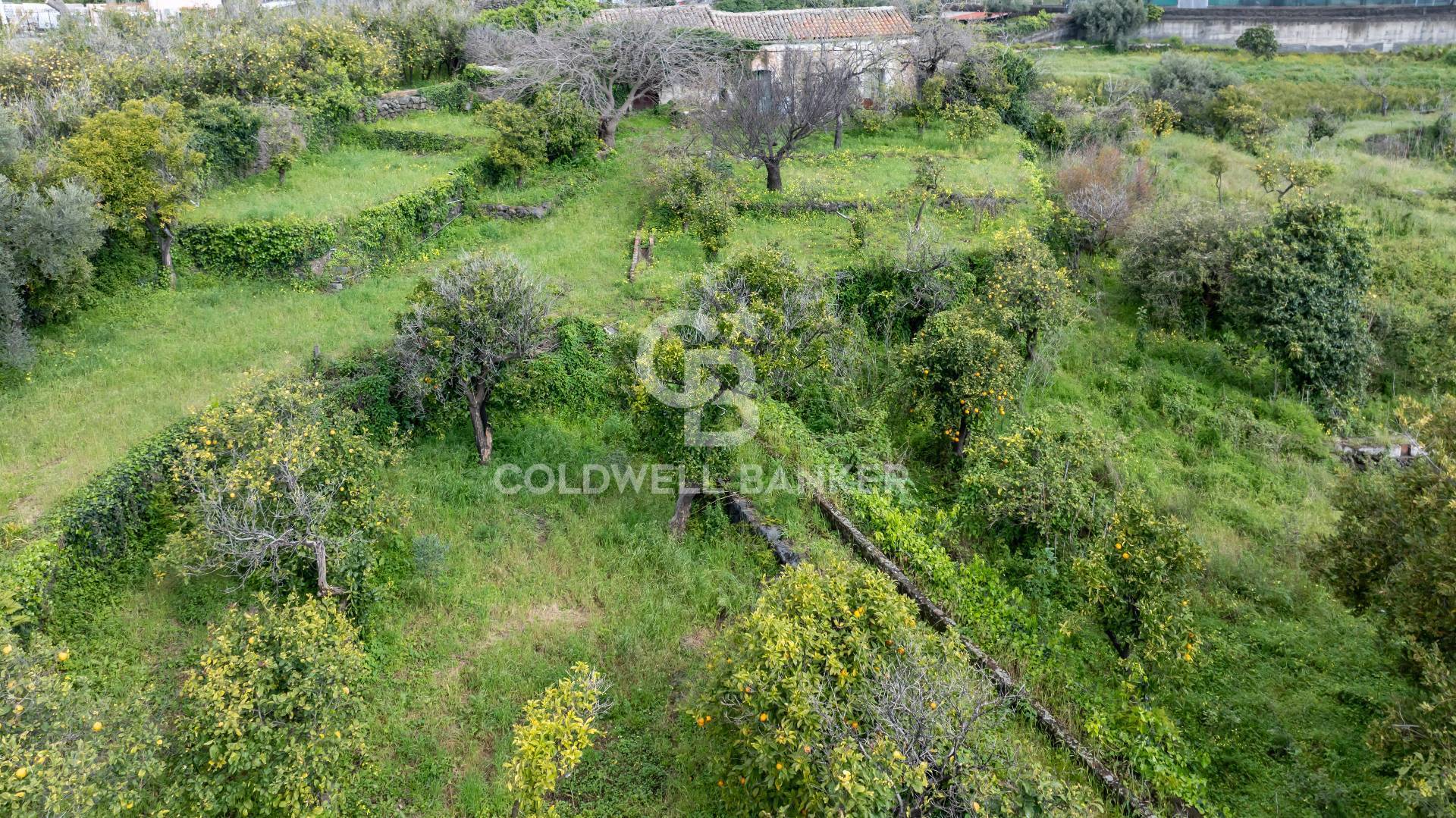 Terreno in vendita a Acireale