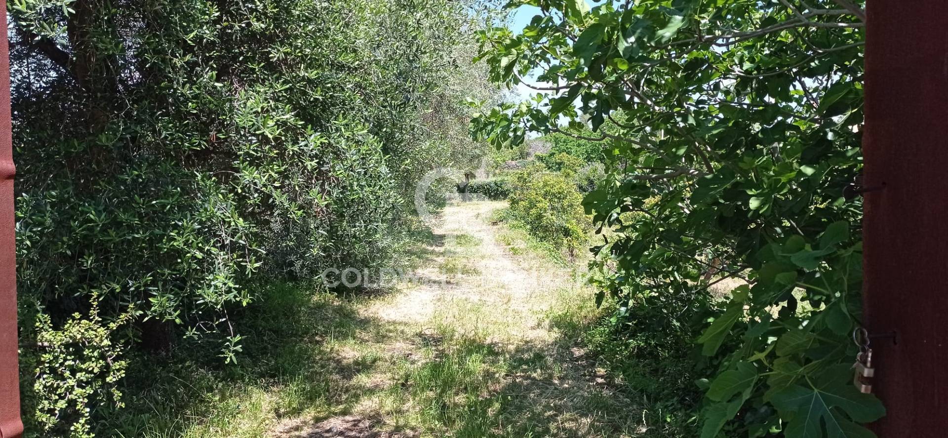 Terreno in vendita a Acireale