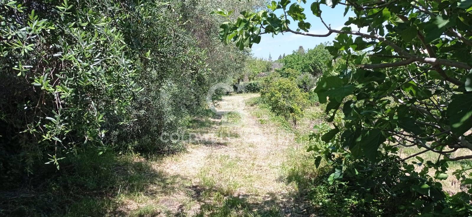 Terreno in vendita a Acireale