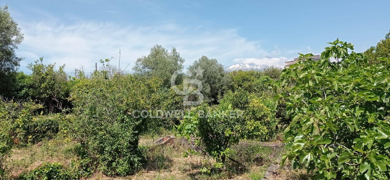 Terreno in vendita a Acireale