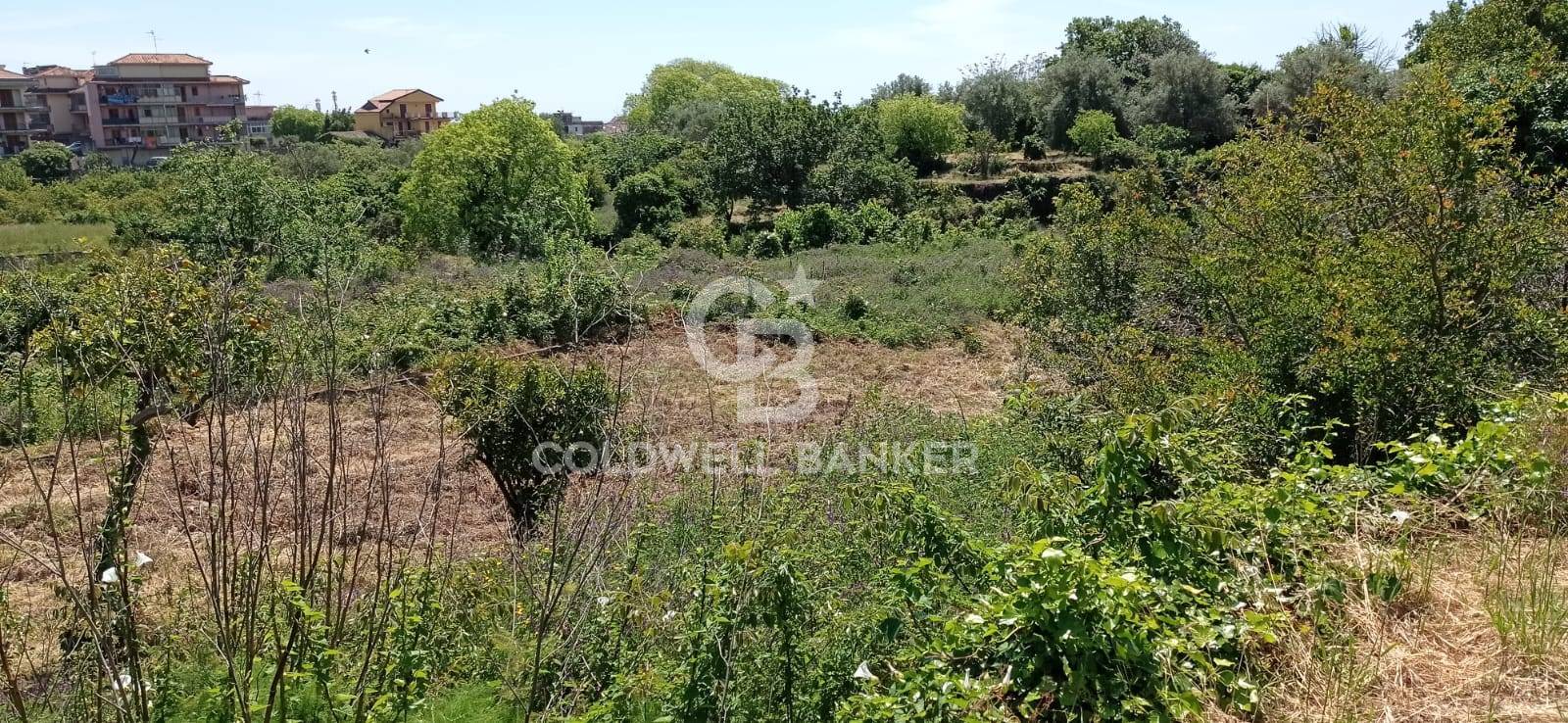 Terreno in vendita a Acireale