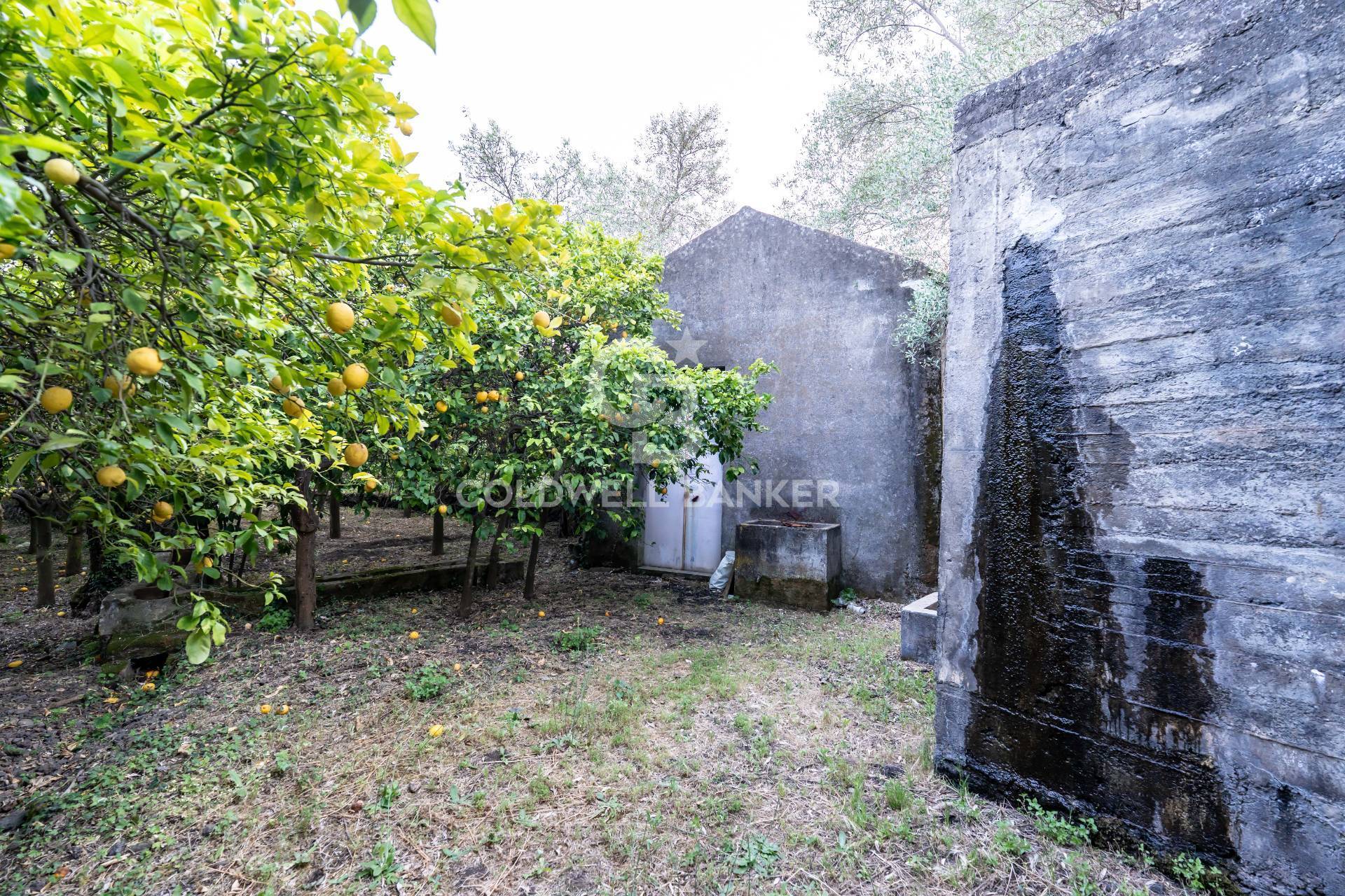 Terreno residenziale in vendita a Santa Venerina, Linera