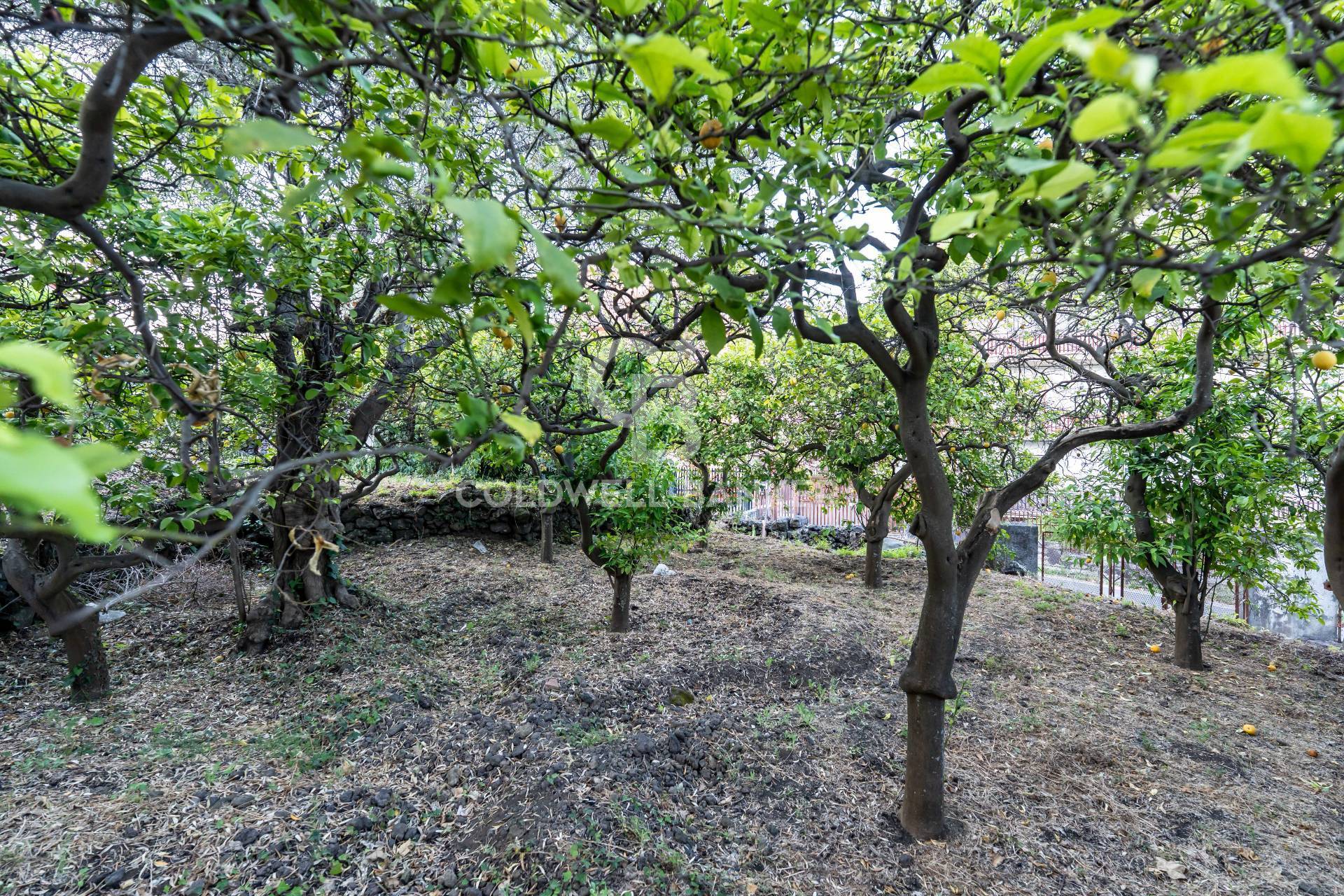 Terreno residenziale in vendita a Santa Venerina, Linera
