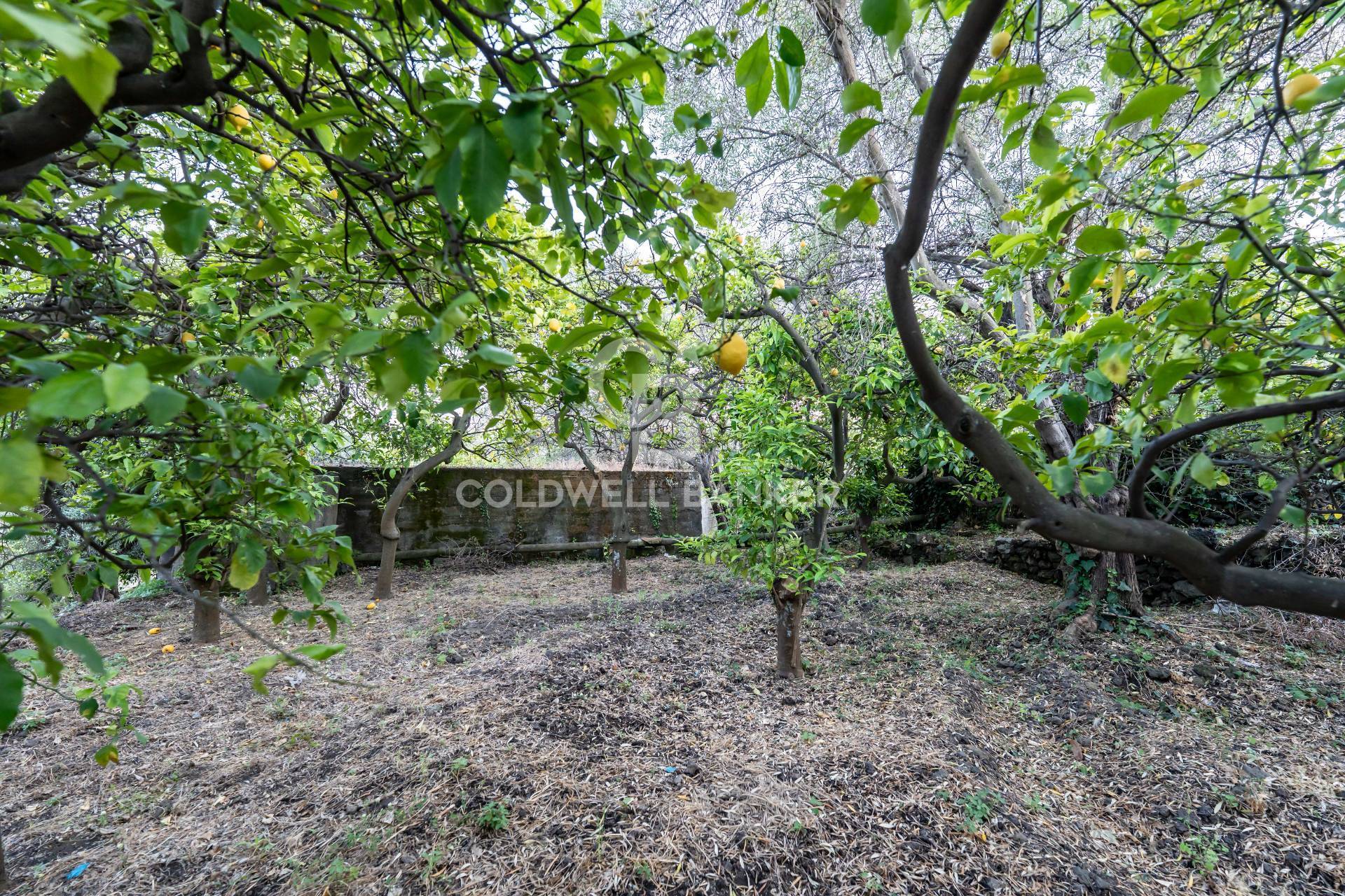 Terreno residenziale in vendita a Santa Venerina, Linera