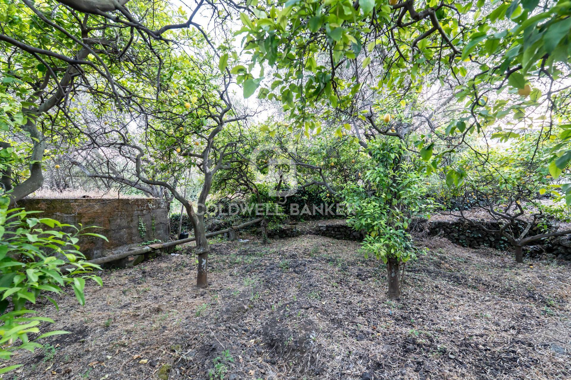 Terreno residenziale in vendita a Santa Venerina, Linera
