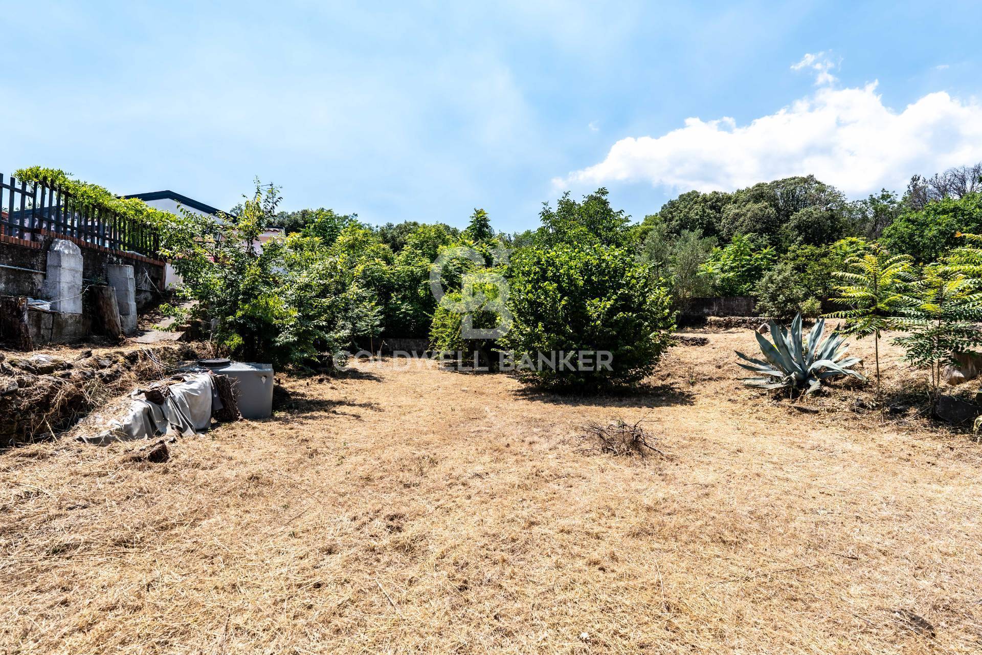 Terreno agricolo in vendita a Zafferana Etnea, Pisano