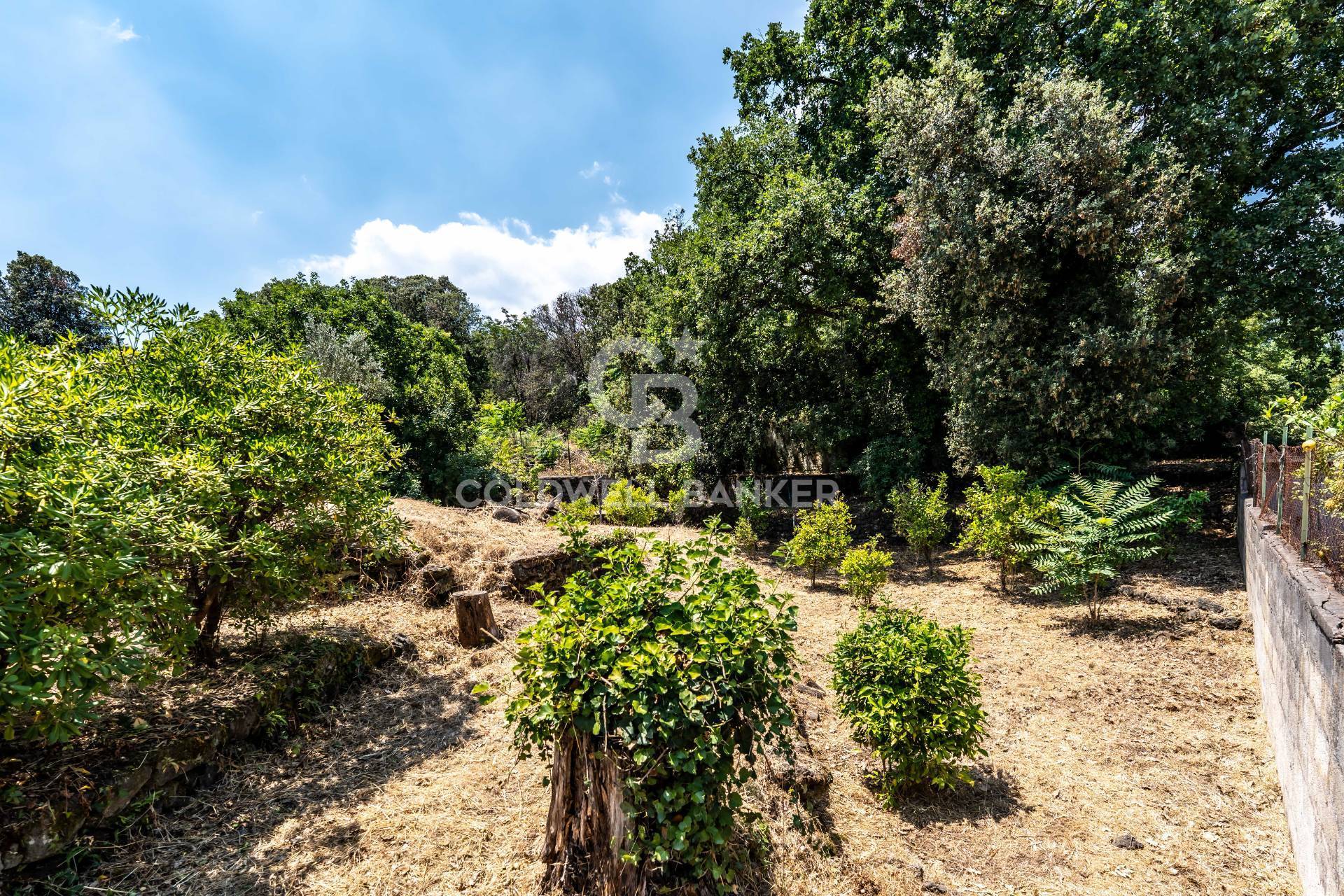 Terreno agricolo in vendita a Zafferana Etnea, Pisano