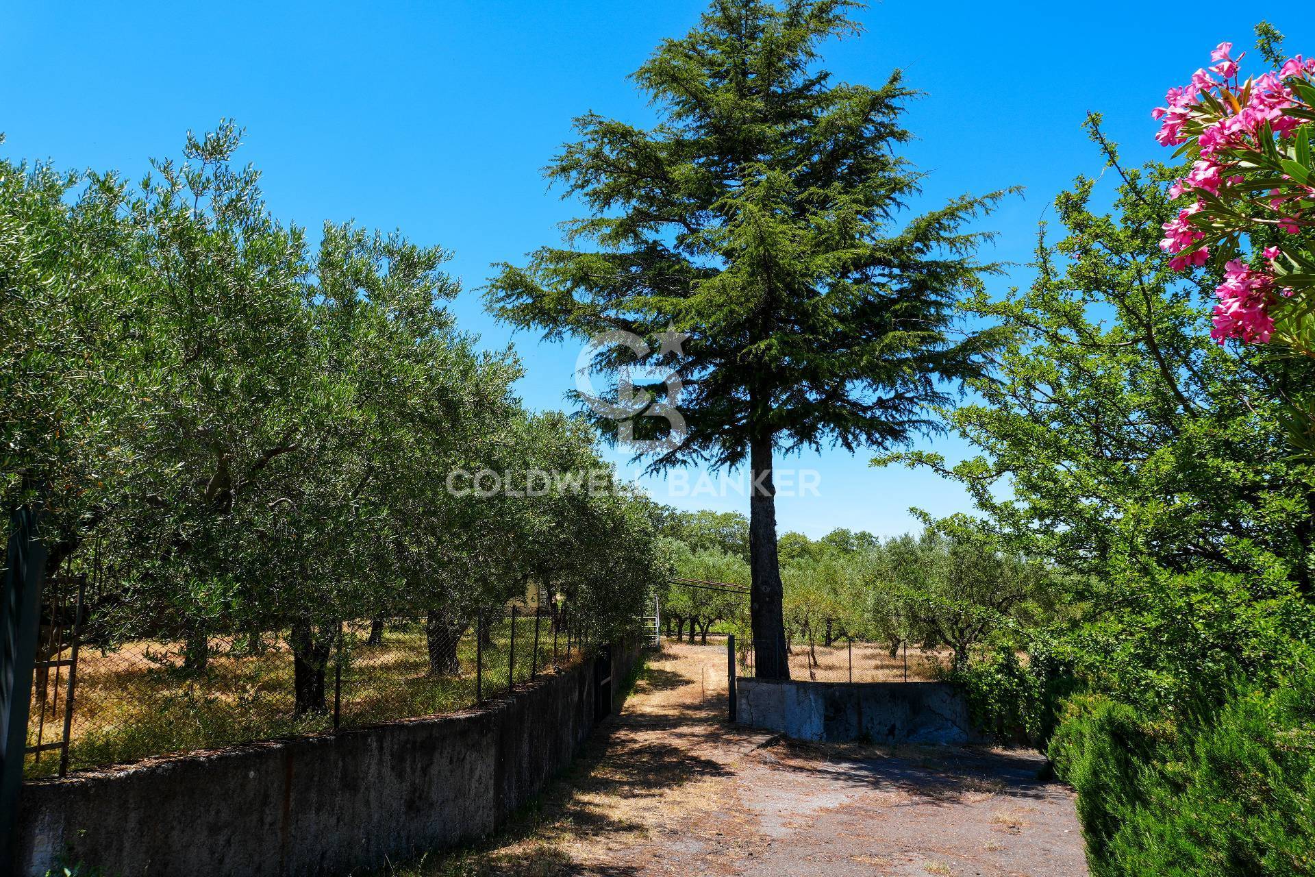 Villetta in vendita a Linguaglossa