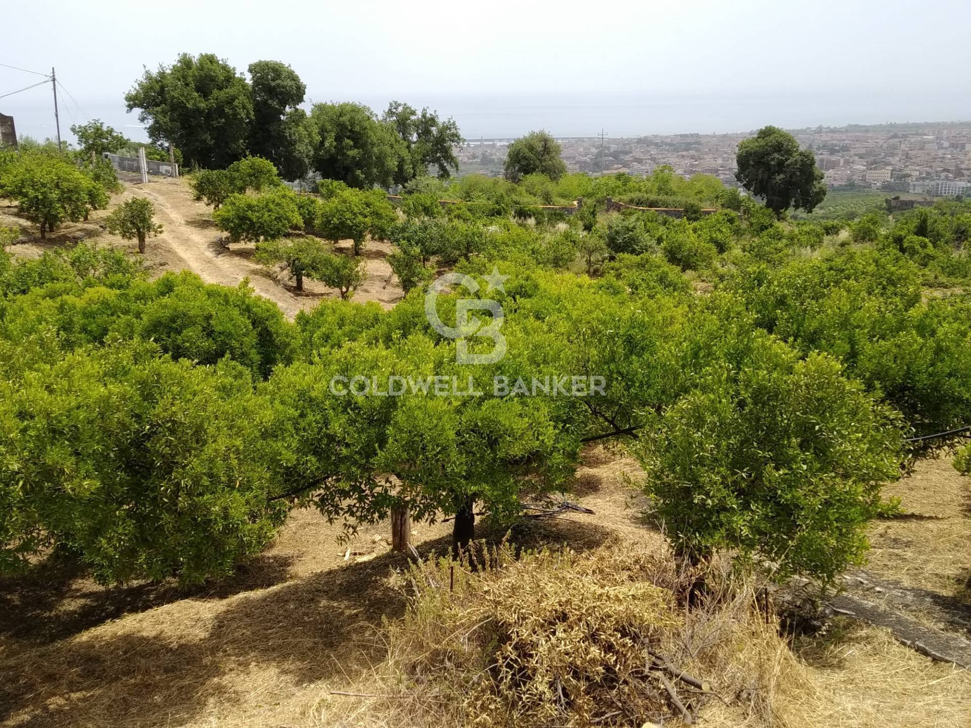 Terreno in vendita a Mascali, Tagliaborse (enclave nel Comune di Giarre)