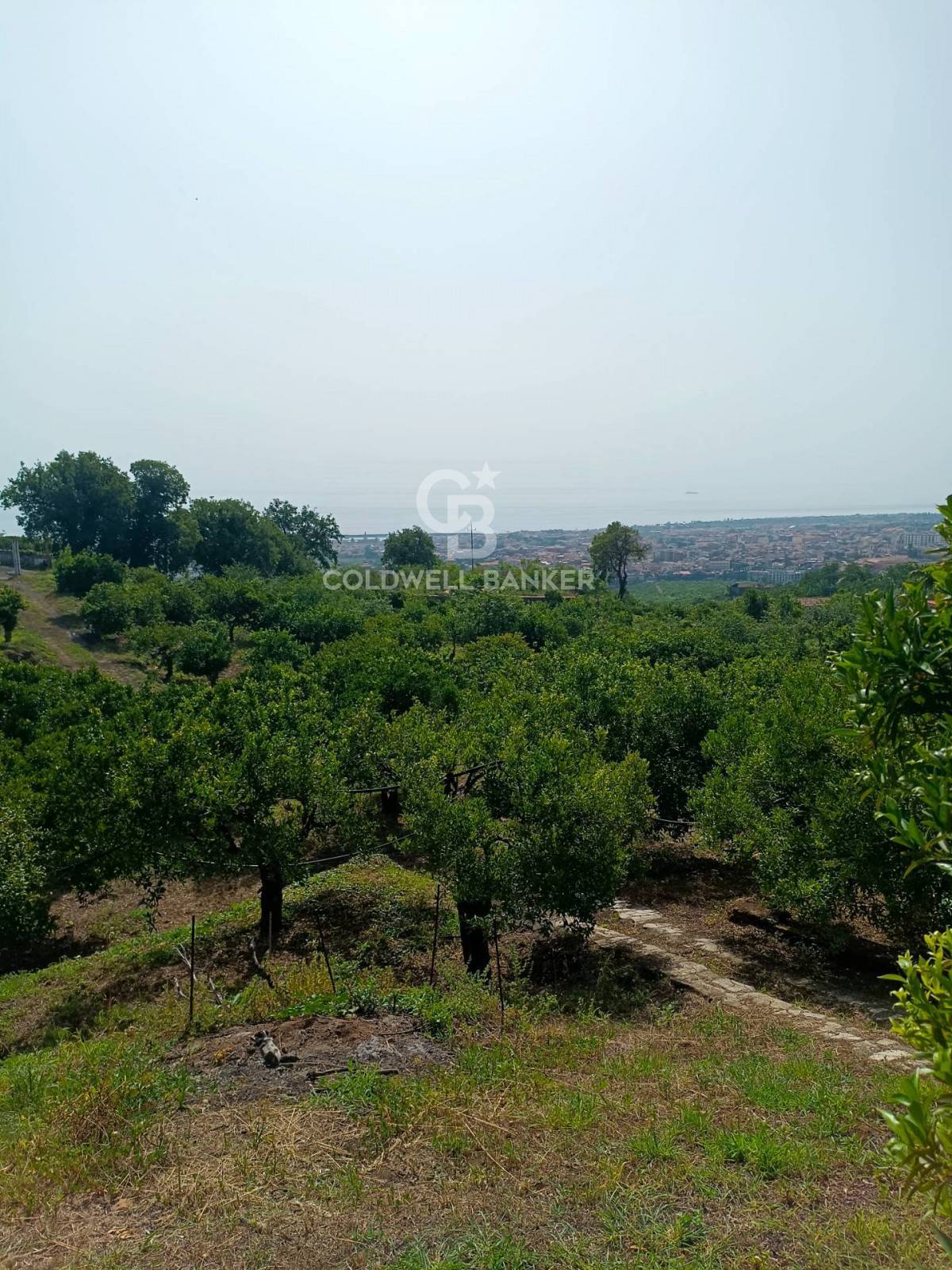 Terreno in vendita a Mascali, Tagliaborse (enclave nel Comune di Giarre)