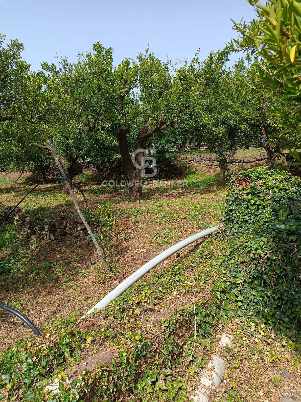 Terreno in vendita a Mascali, Tagliaborse (enclave nel Comune di Giarre)