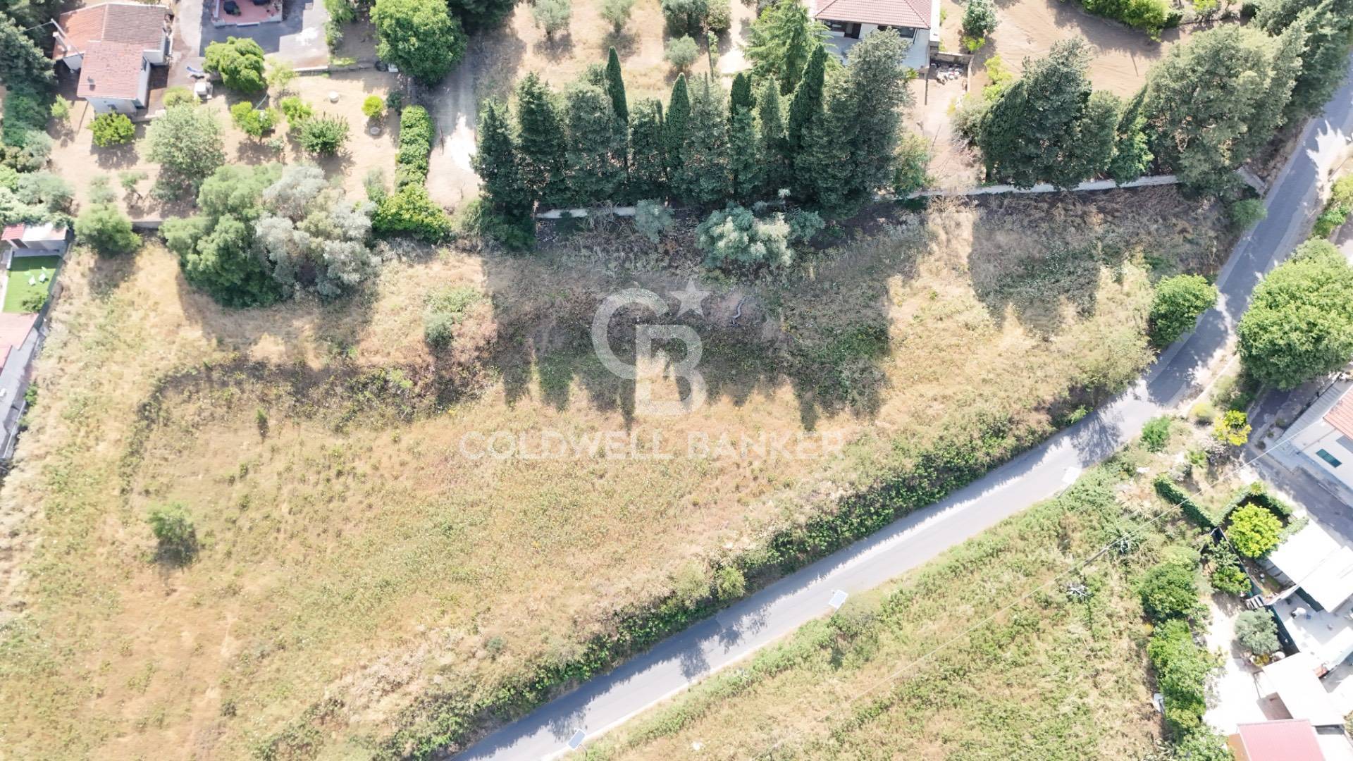 Terreno Edificabile in vendita a Caltagirone
