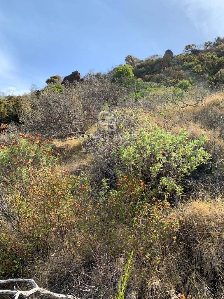 Terreno in vendita a Malfa
