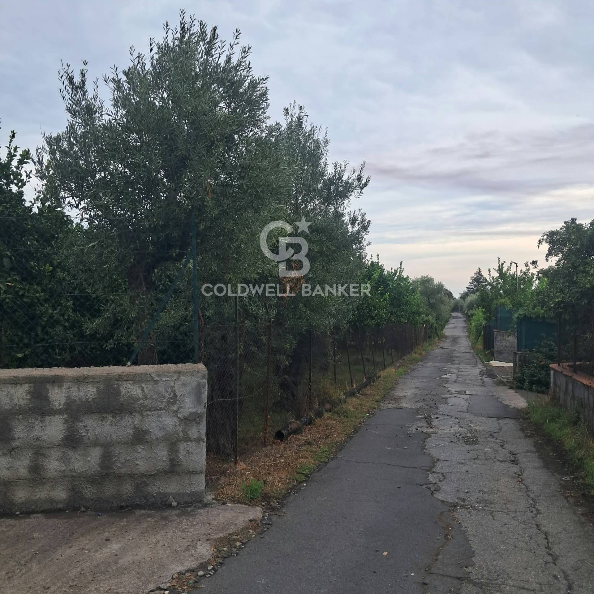 Terreno agricolo in vendita a Zafferana Etnea, Pisano
