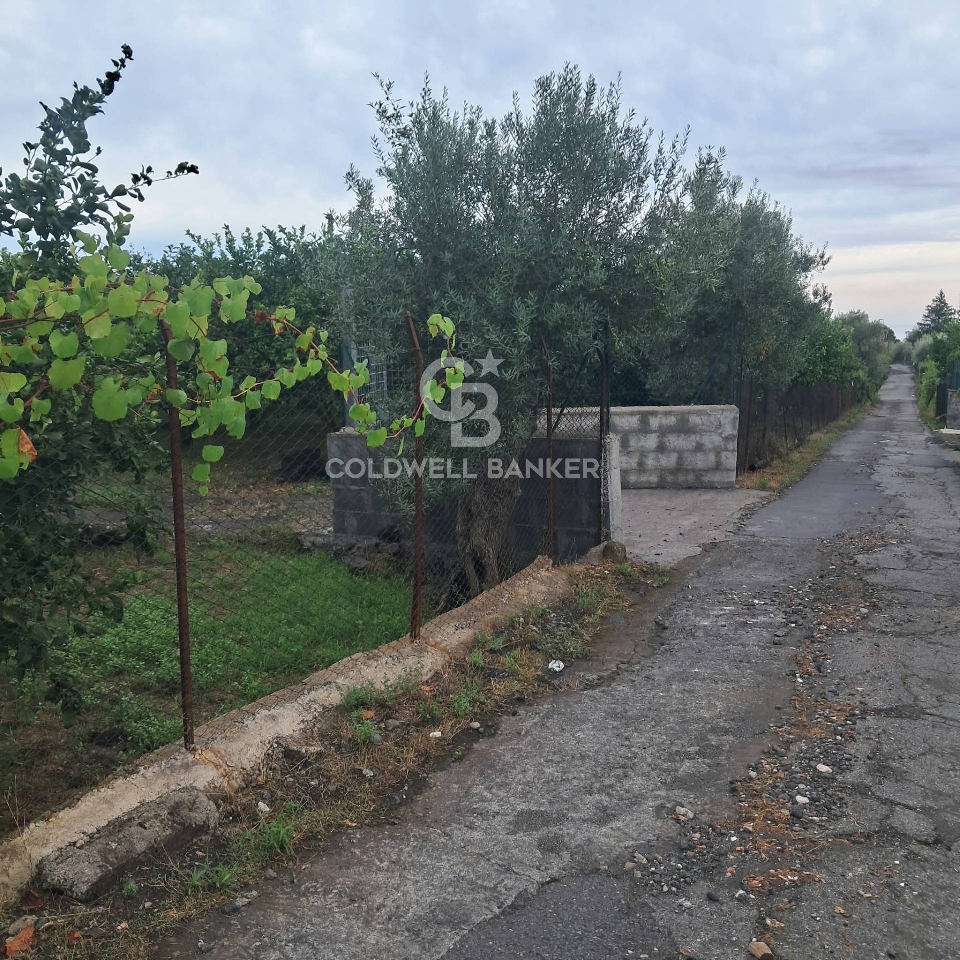 Terreno agricolo in vendita a Zafferana Etnea, Pisano