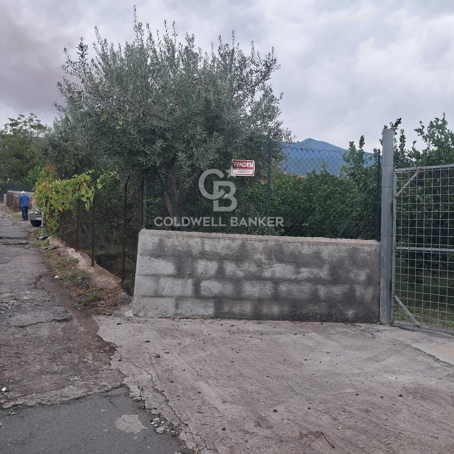 Terreno agricolo in vendita a Zafferana Etnea, Pisano