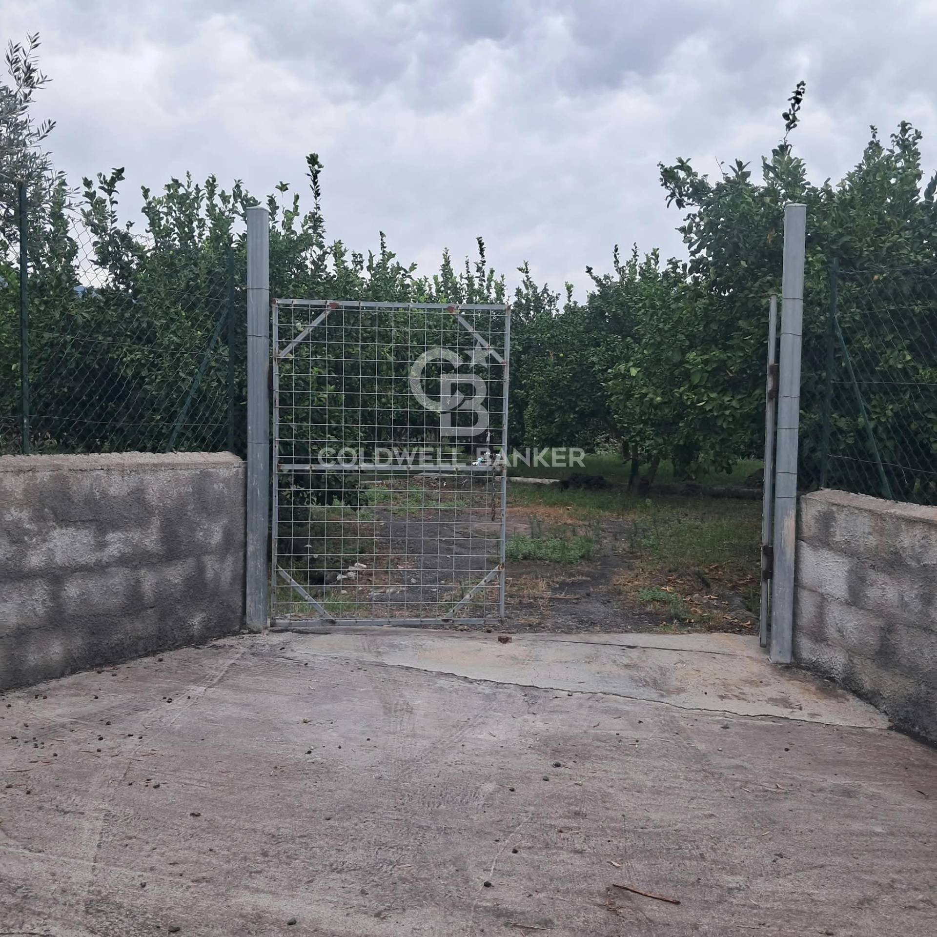 Terreno agricolo in vendita a Zafferana Etnea, Pisano