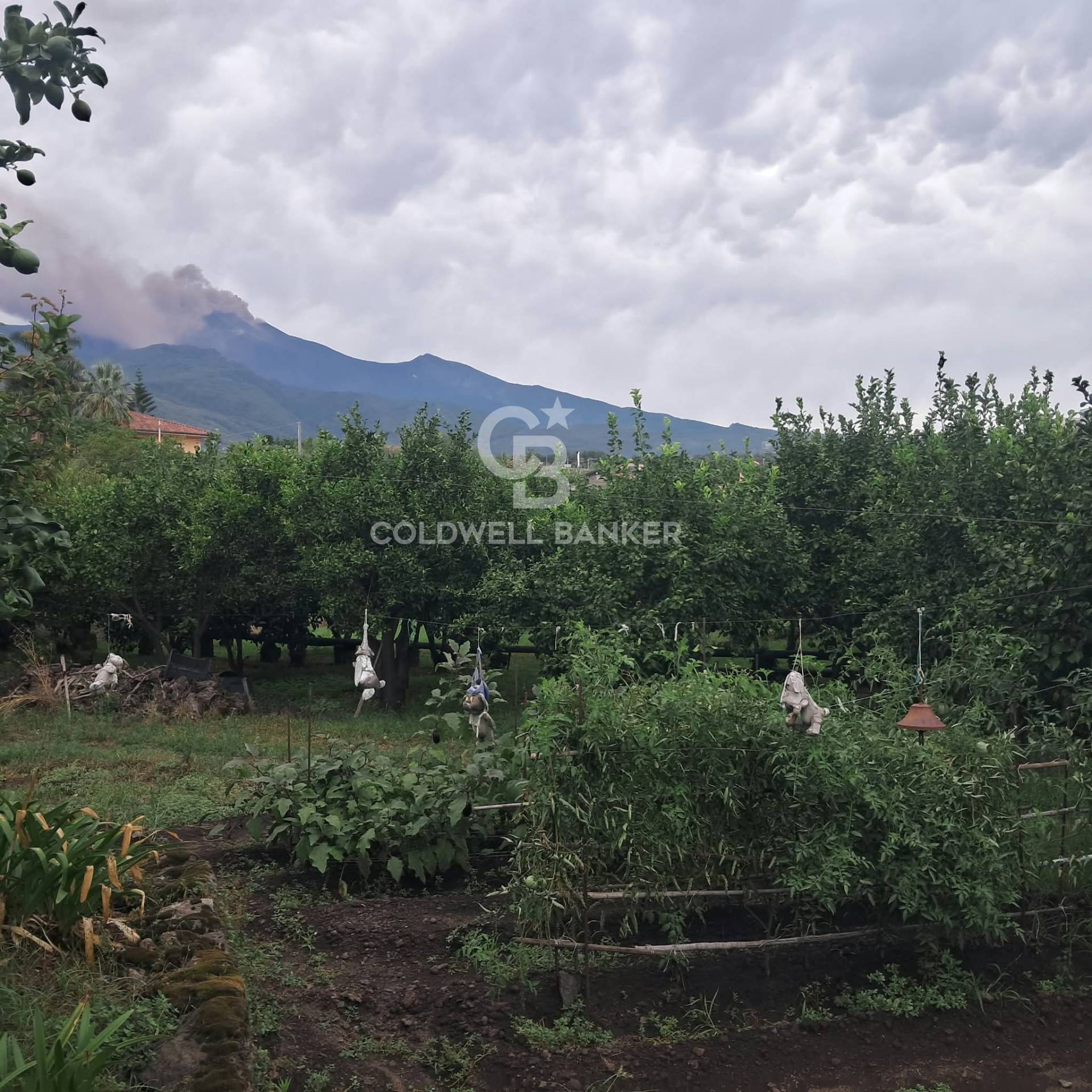 Terreno agricolo in vendita a Zafferana Etnea, Pisano