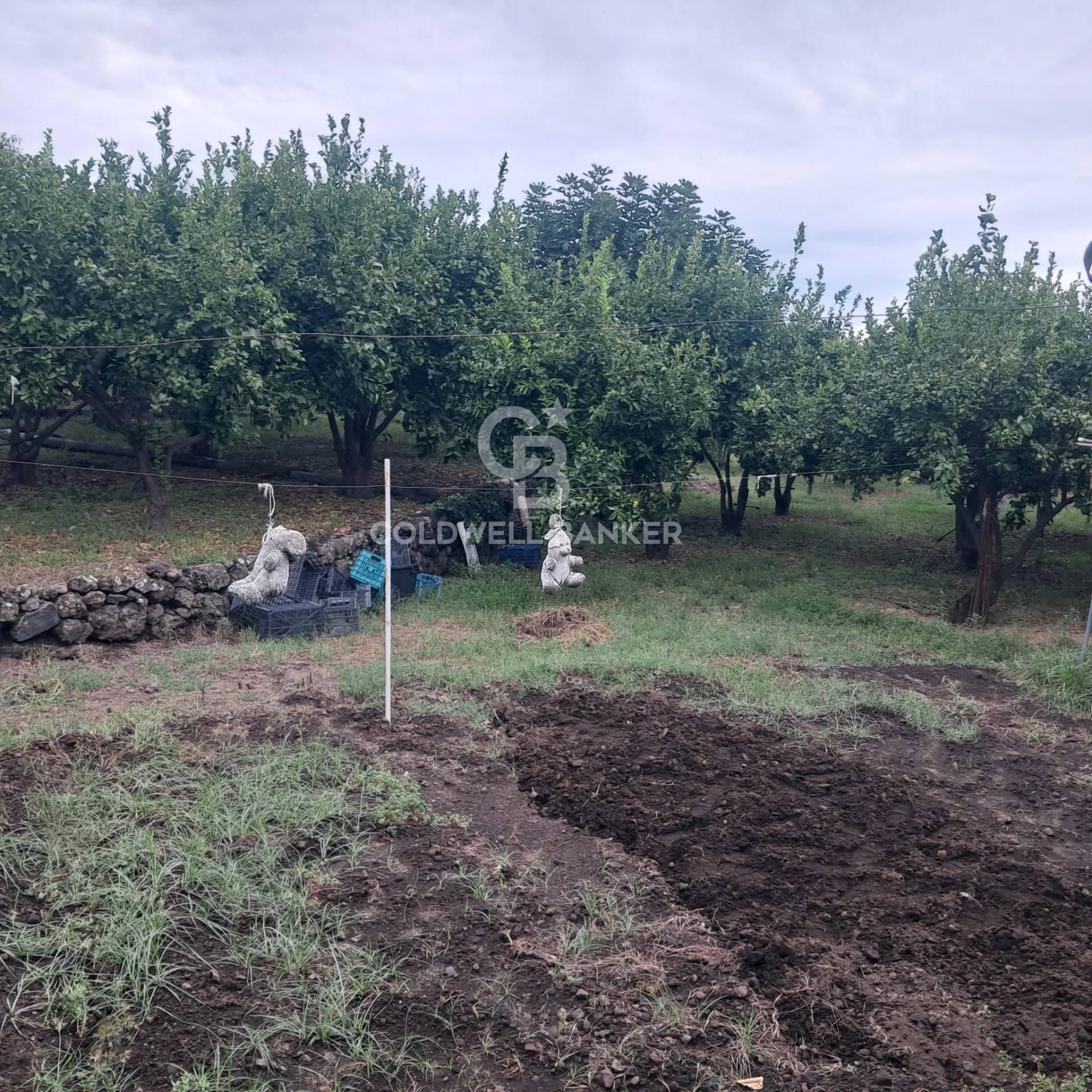 Terreno agricolo in vendita a Zafferana Etnea, Pisano
