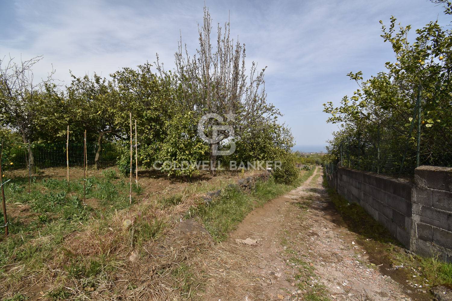 Rustico/Casale/Corte in vendita a Aci Catena