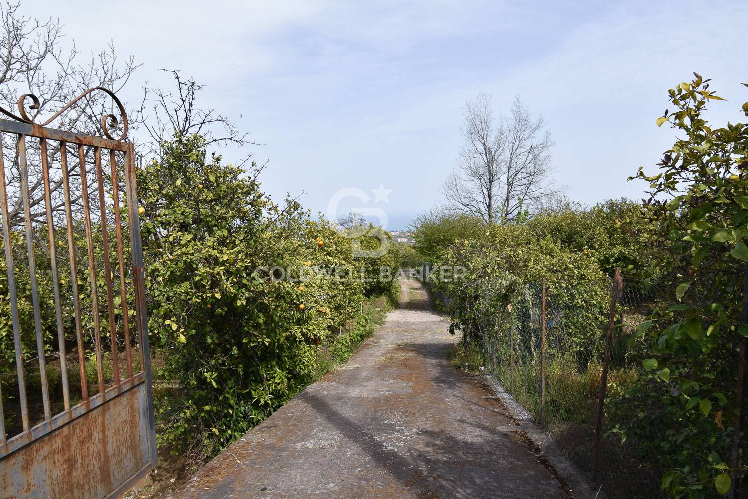 Rustico/Casale/Corte in vendita a Aci Catena