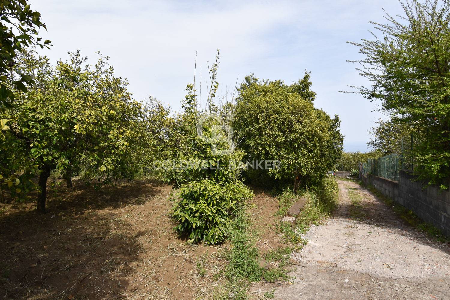 Rustico/Casale/Corte in vendita a Aci Catena