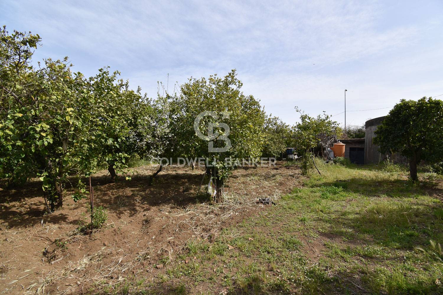 Rustico/Casale/Corte in vendita a Aci Catena