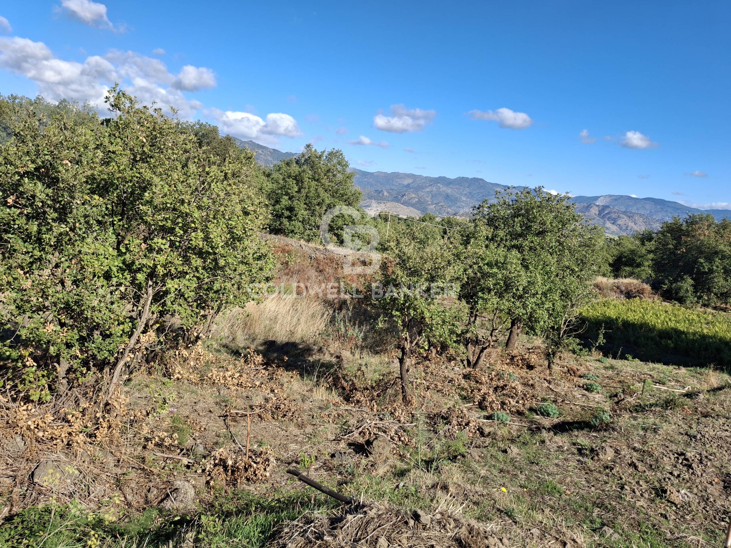 Terreno agricolo in vendita a Castiglione di Sicilia