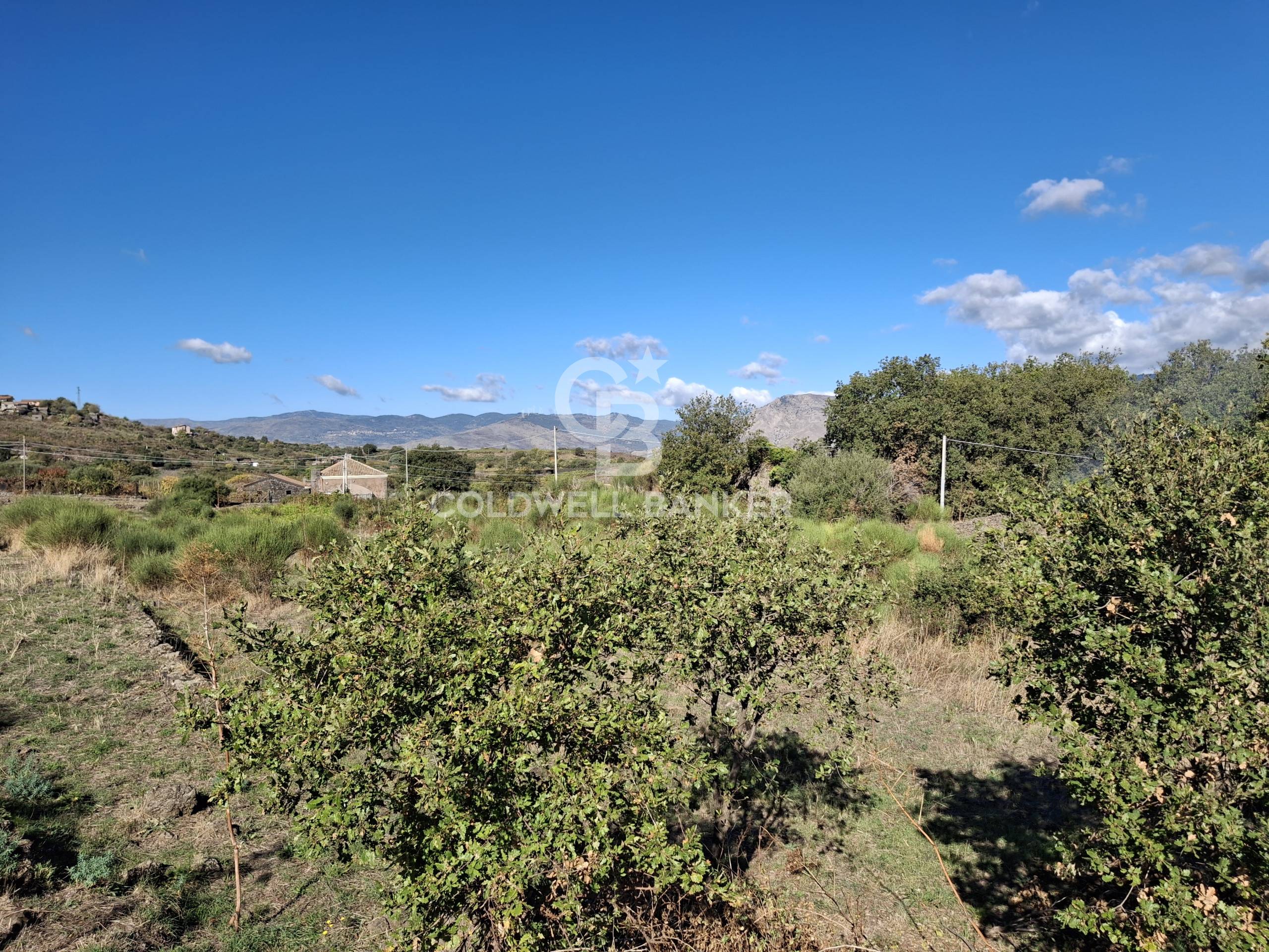 Terreno agricolo in vendita a Castiglione di Sicilia