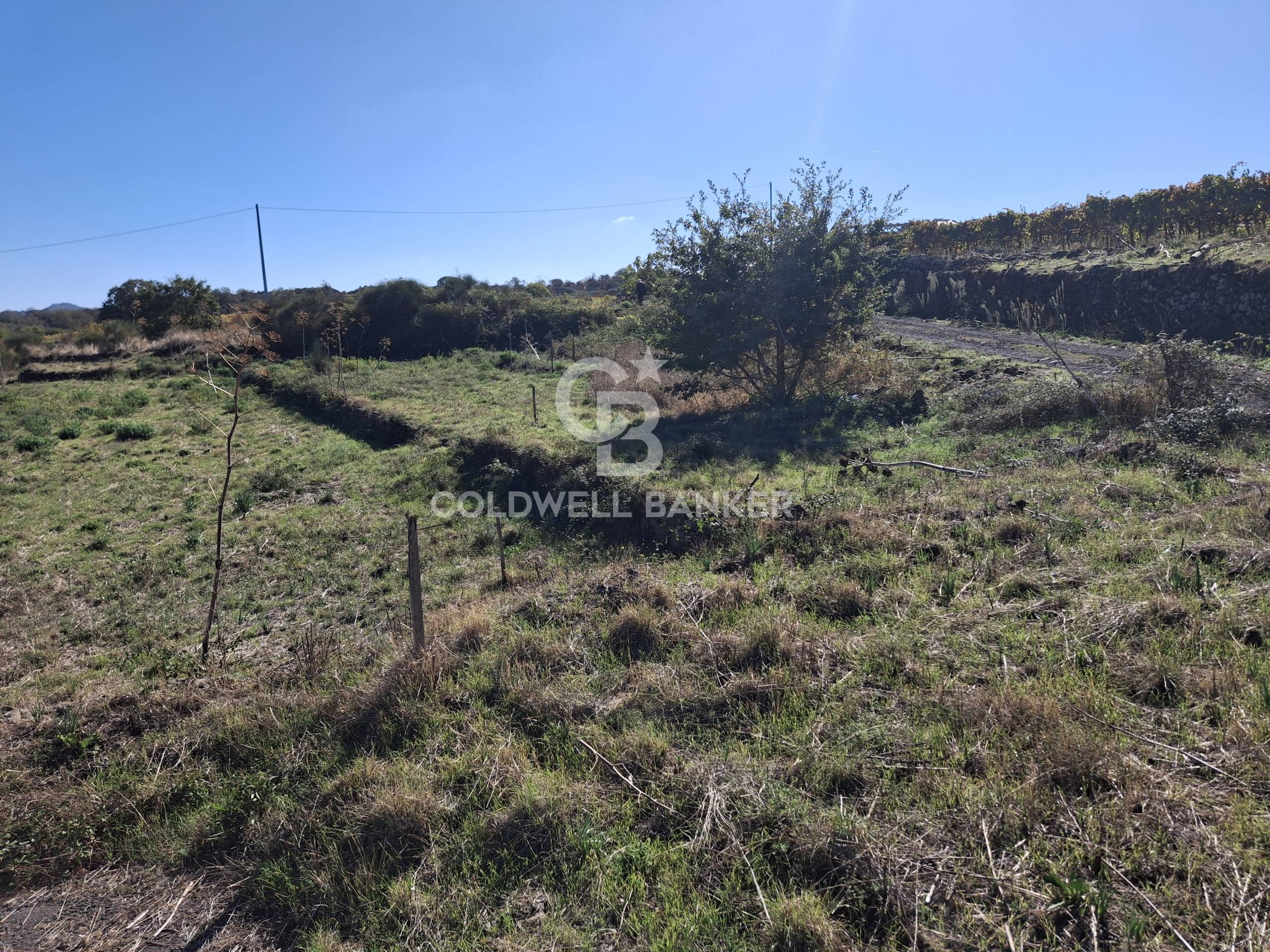 Terreno agricolo in vendita a Castiglione di Sicilia