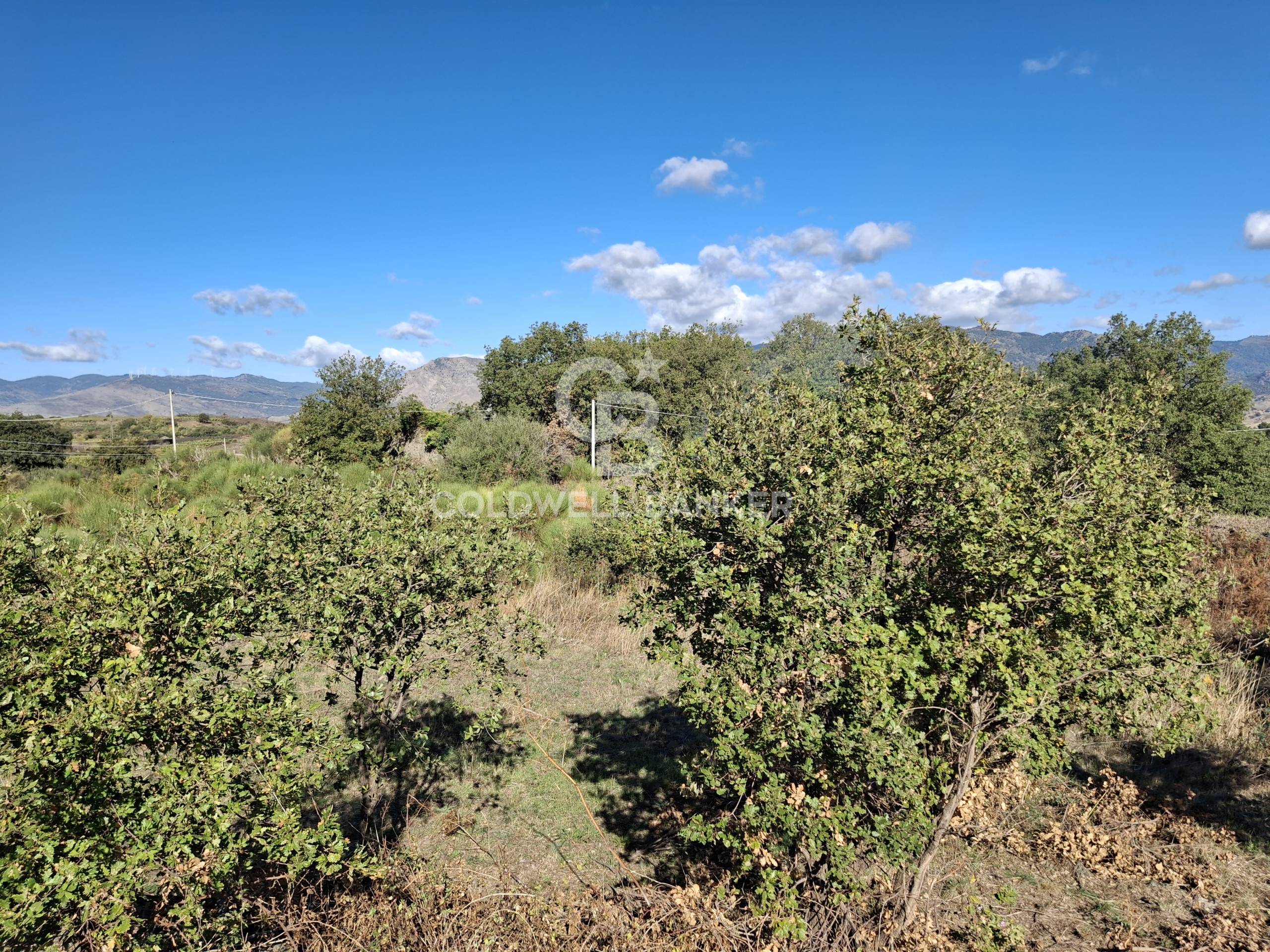 Terreno agricolo in vendita a Castiglione di Sicilia