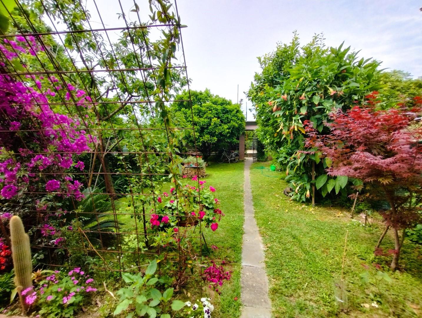 Casa indipendente con giardino, Pietrasanta citt