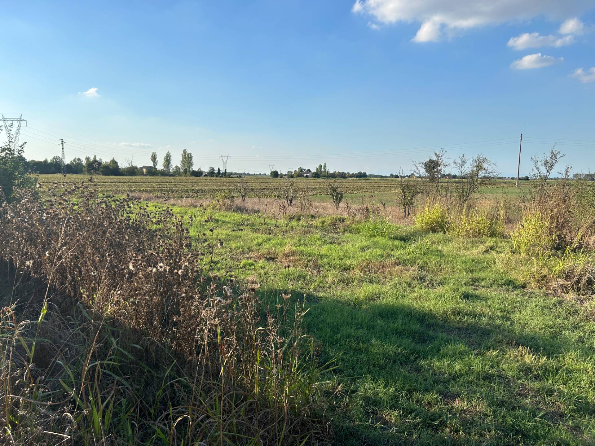 Terreno Edificabile in vendita a Mirandola