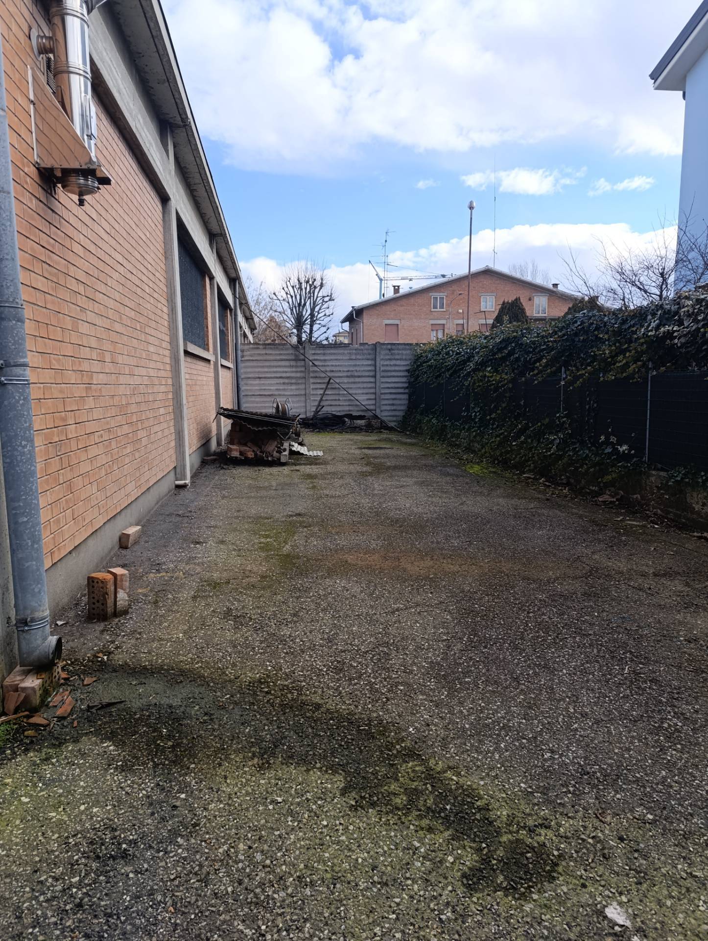 immagine annuncio 3 di 4