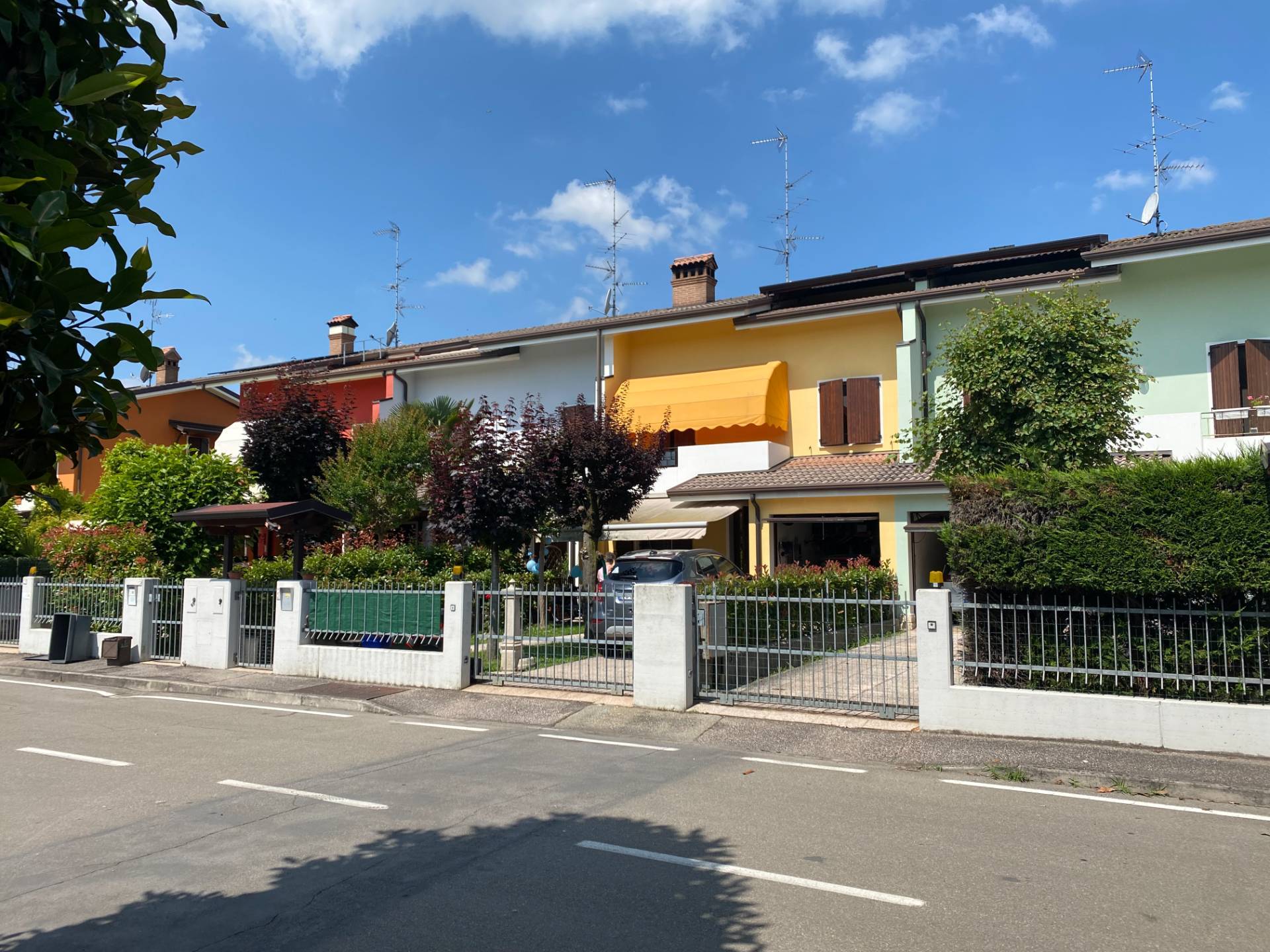 immagine annuncio 1 di 10