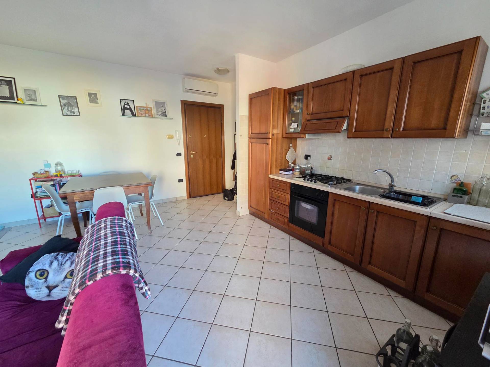 Appartamento al 1 Piano in vendita a Mirandola